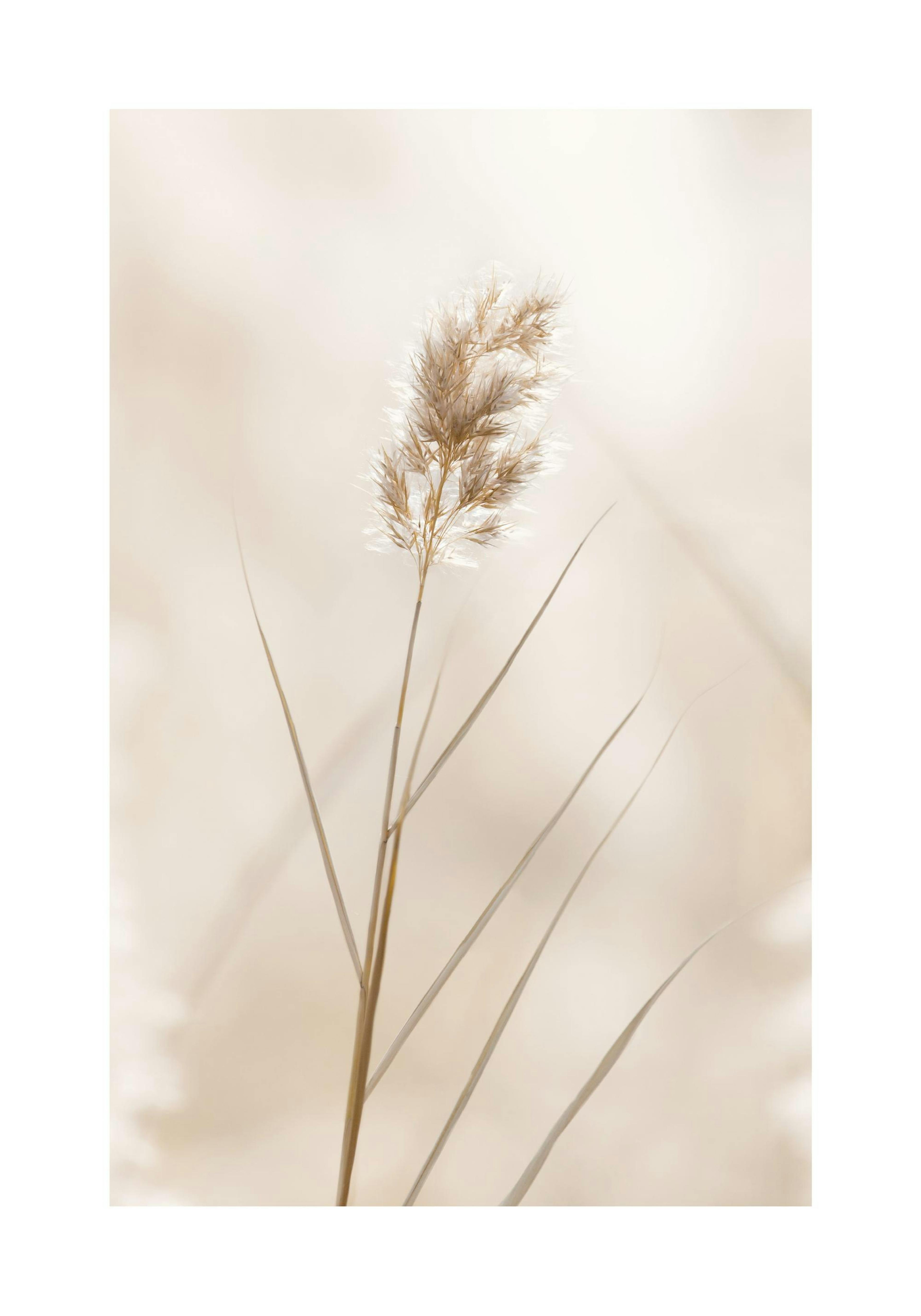 Product image: 1