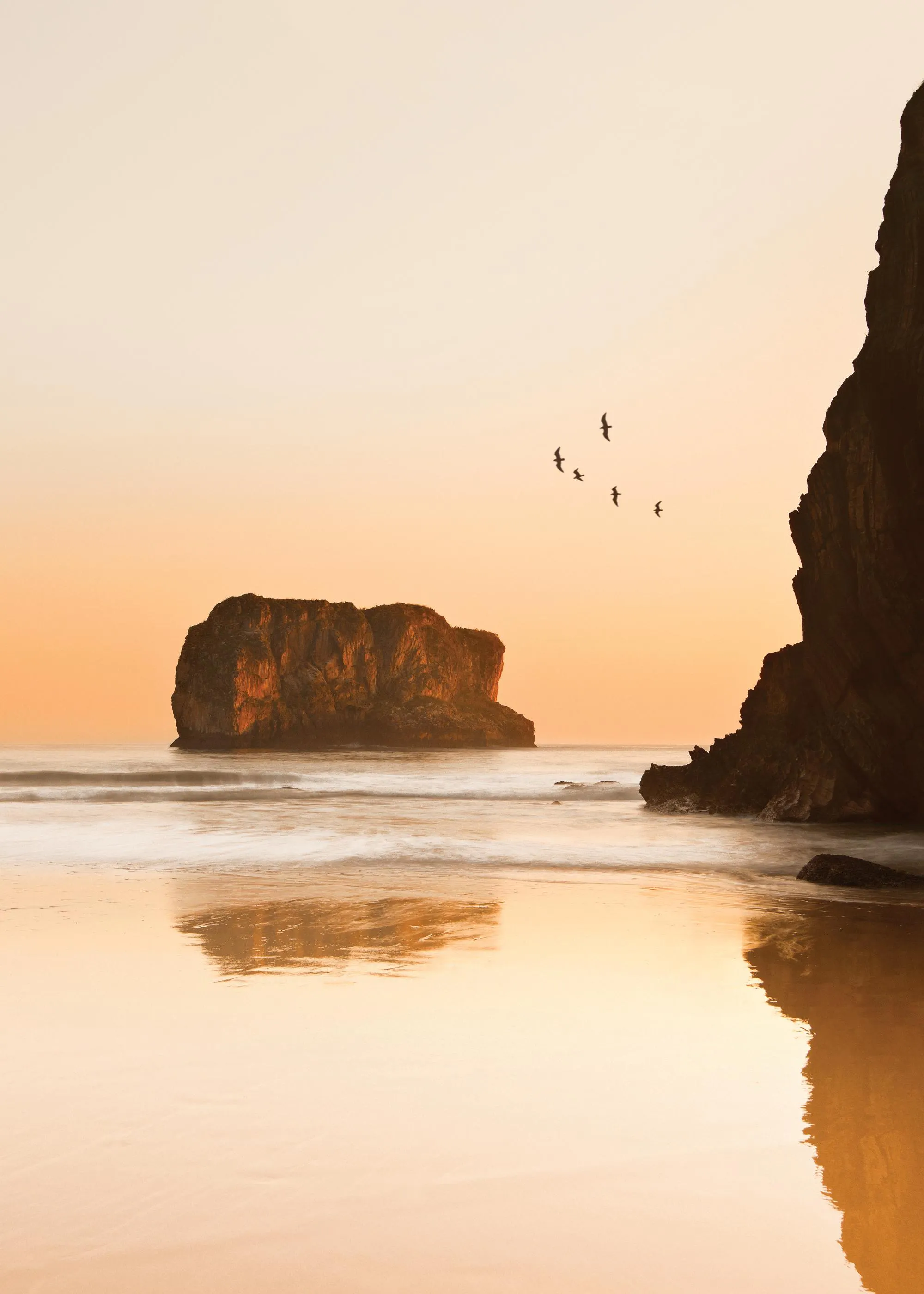 A poster of a golden sunset over a calm ocean beach with dark rock formations and birds flying.