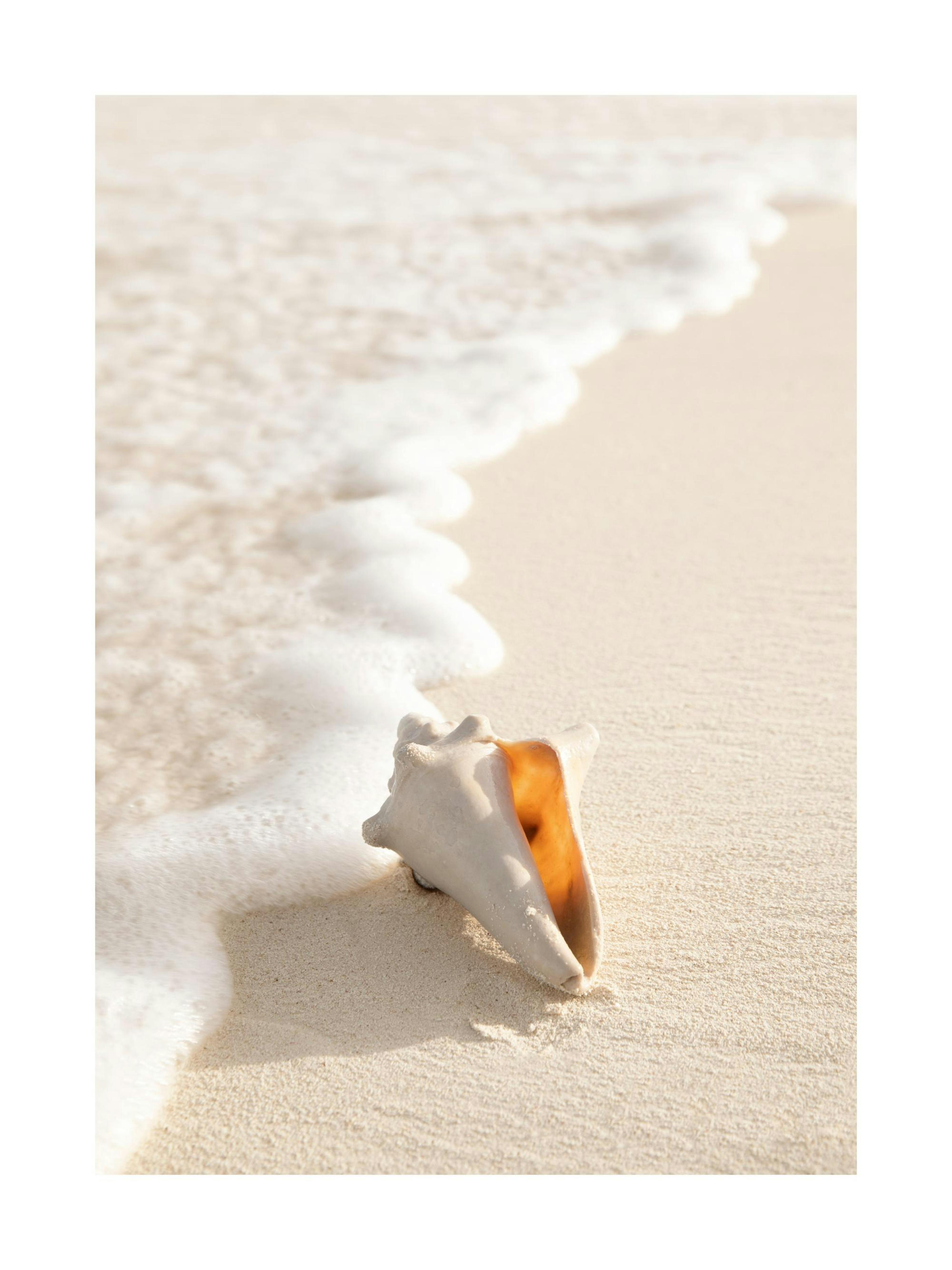 Product image: 1