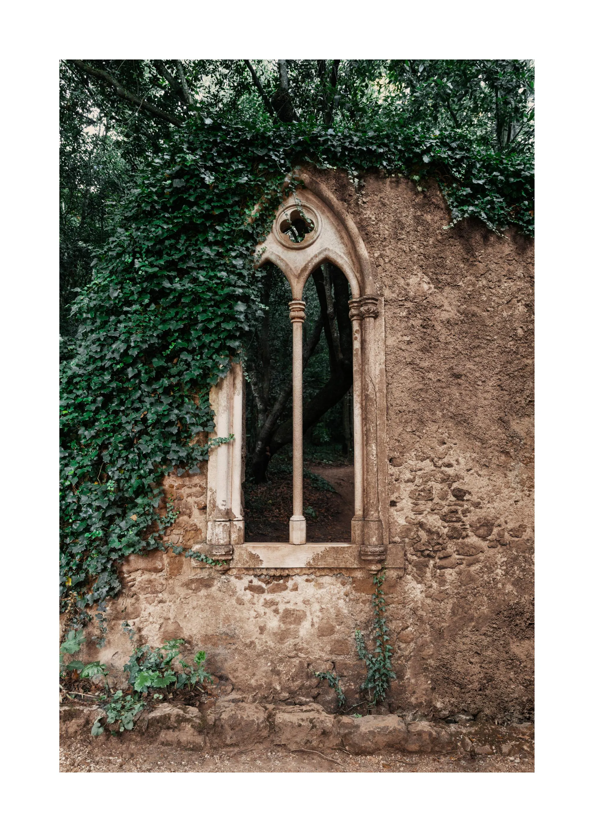 Poster con finestra gotica in pietra antica ricoperta di edera verde su un muro di roccia, con alberi sullo sfondo.