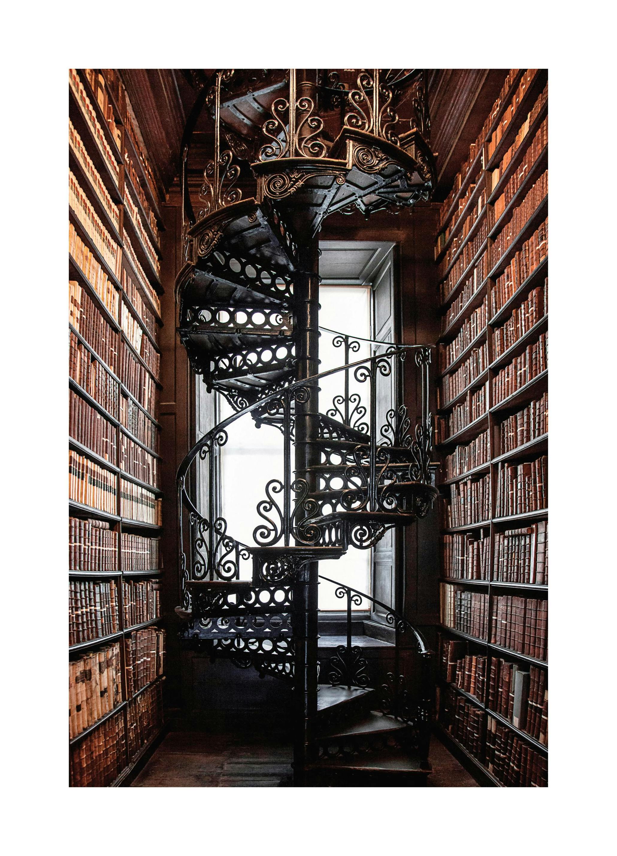 Library Staircase (30x40 cm) - Poster Store