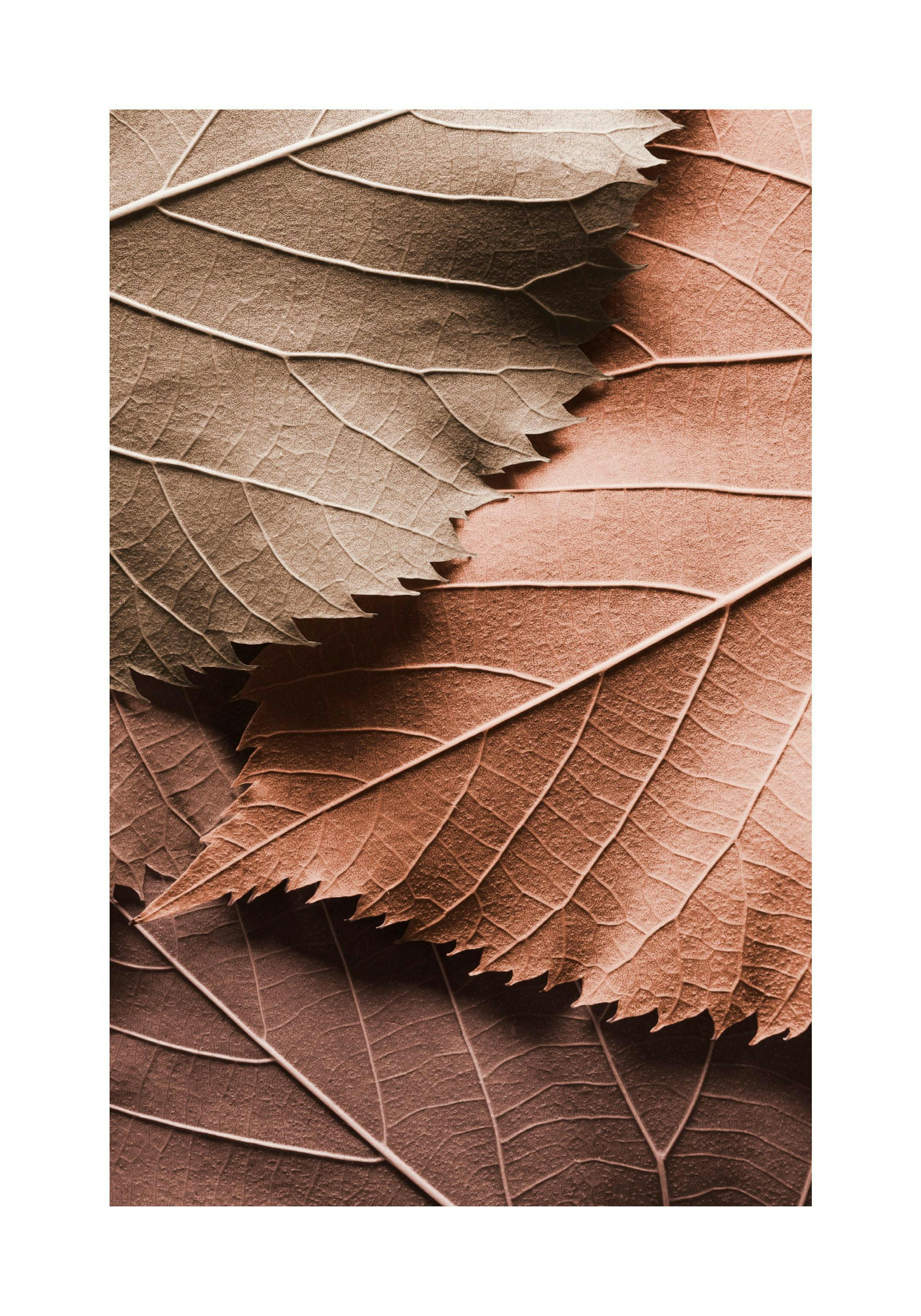 Product image: 1