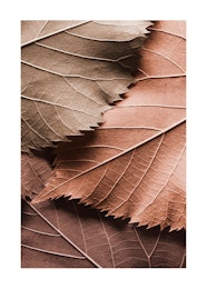 Fall Colors Tavelv gg H stinredning Poster Store SE Fall Colors Tavelv gg H stinredning Poster Store SE