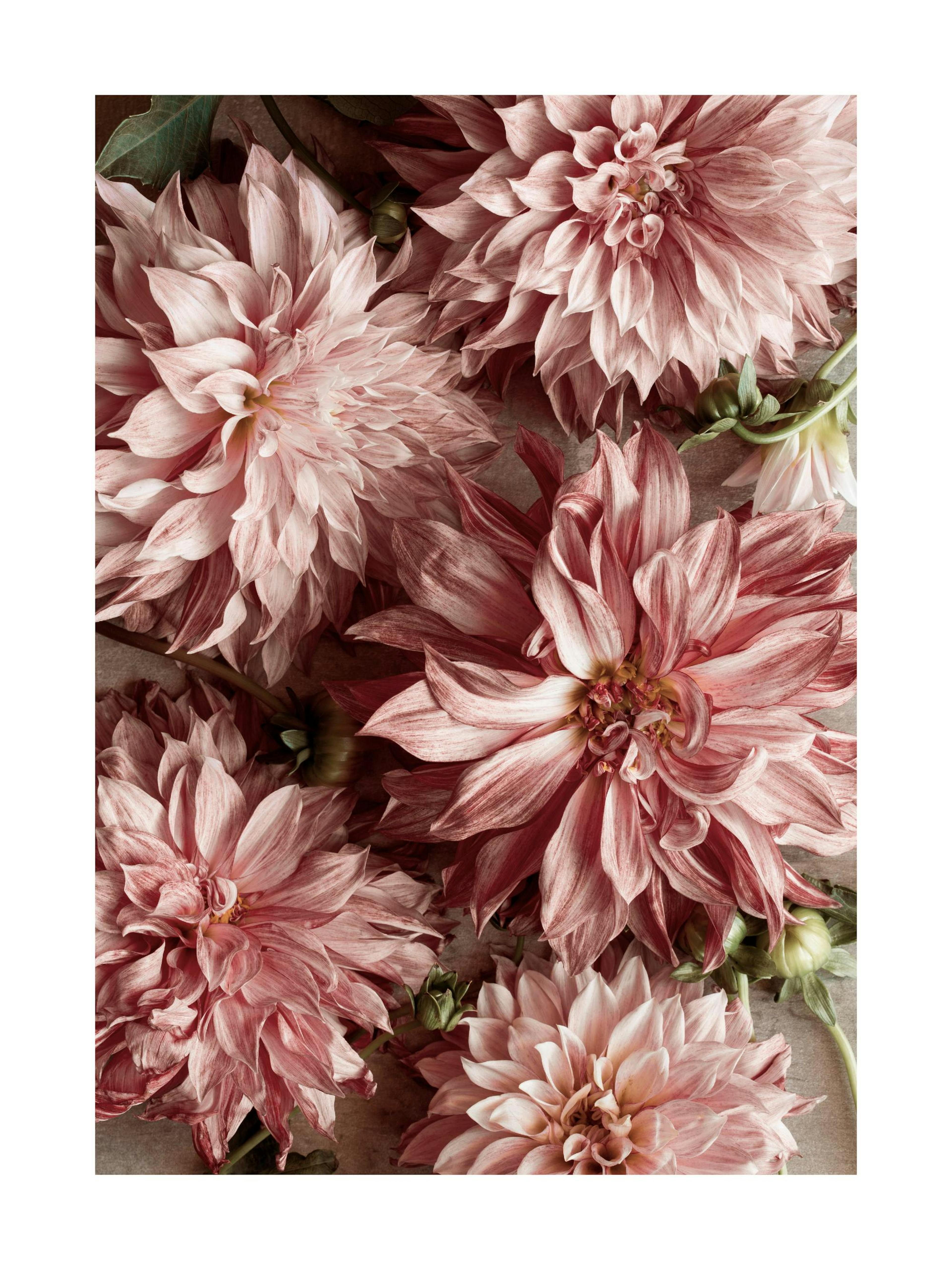 Product image: 1