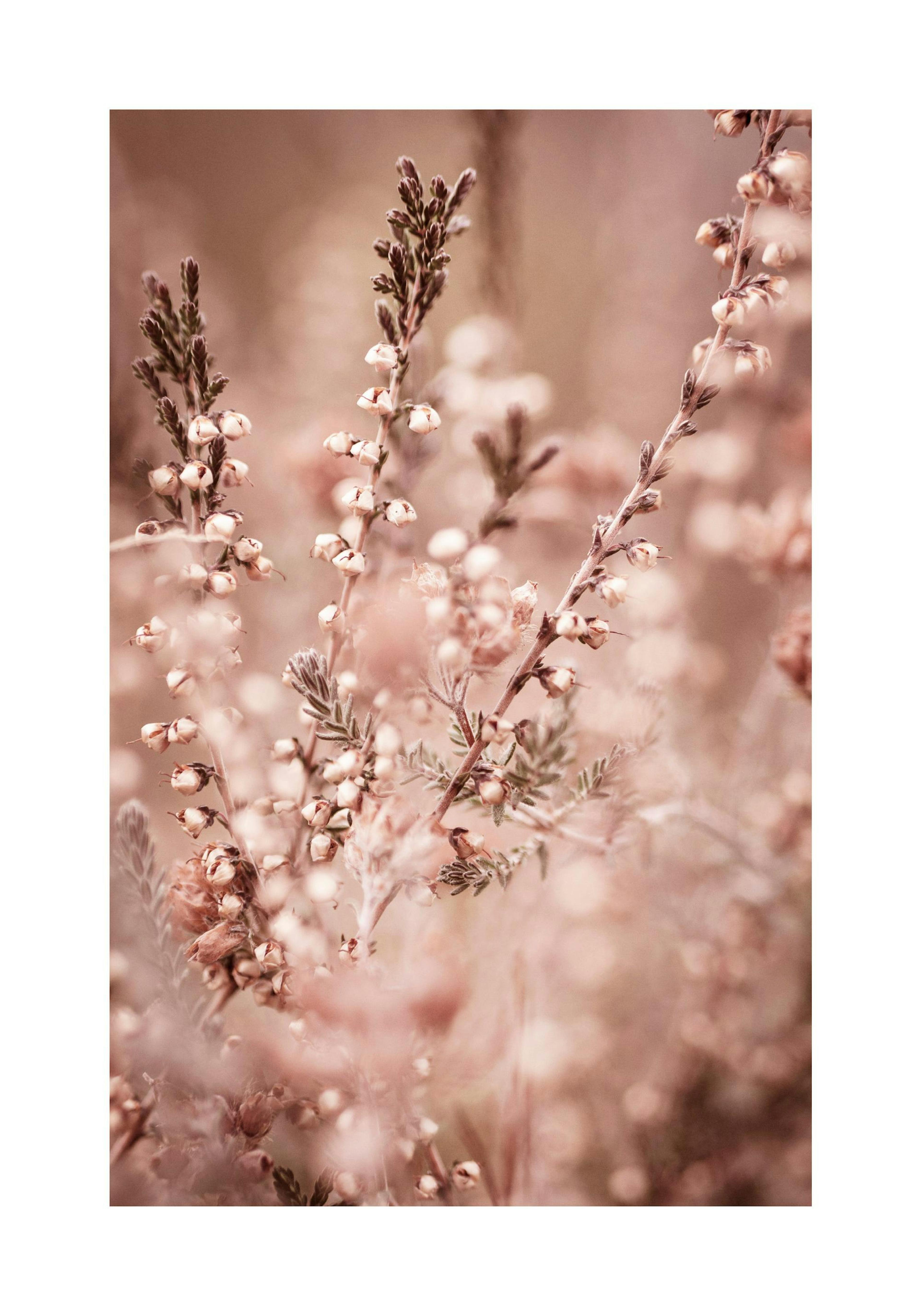 Product image: 1