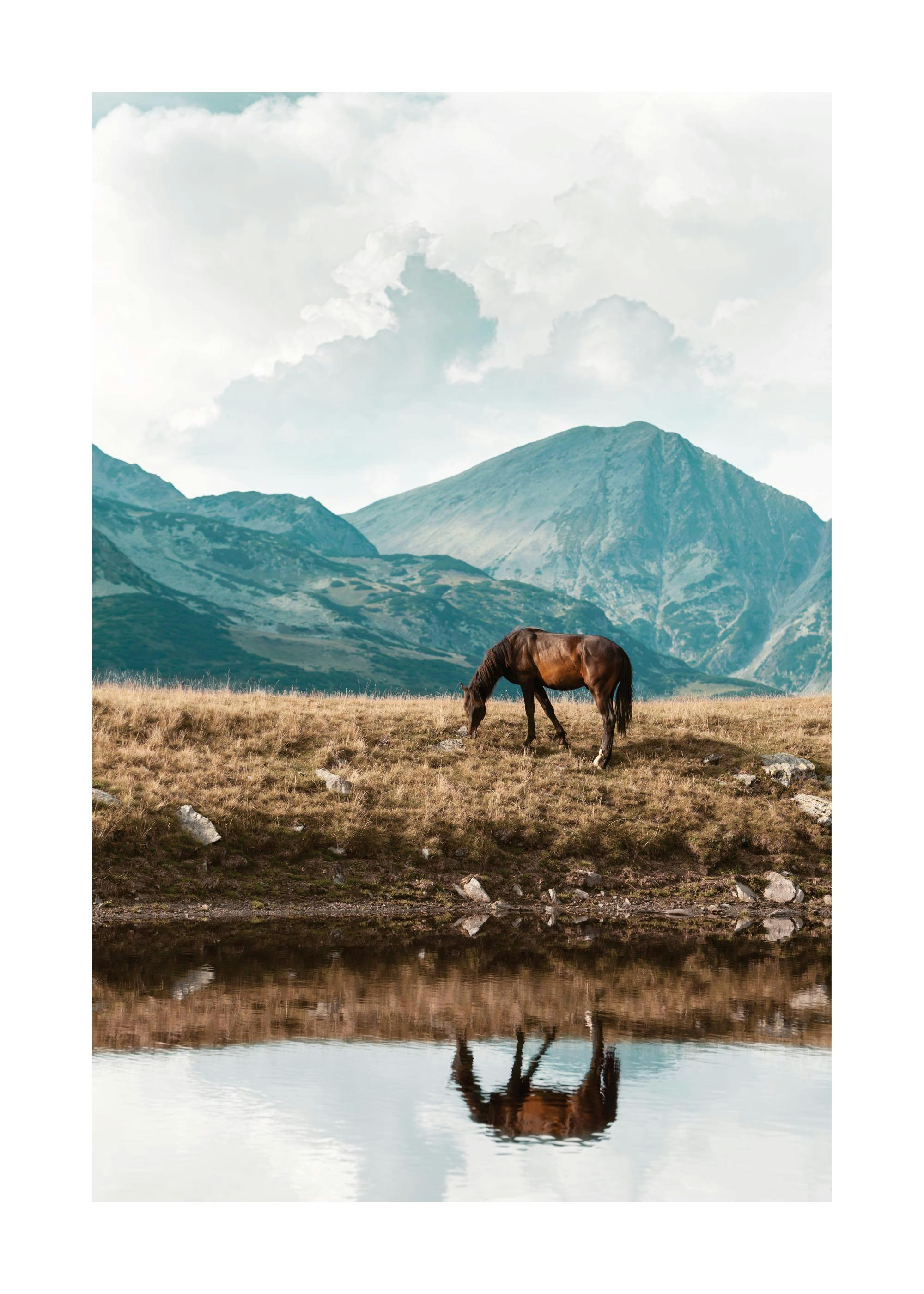 Een poster van een bruin paard dat graast in een bergachtig landschap, weerspiegeld in het water op de voorgrond.