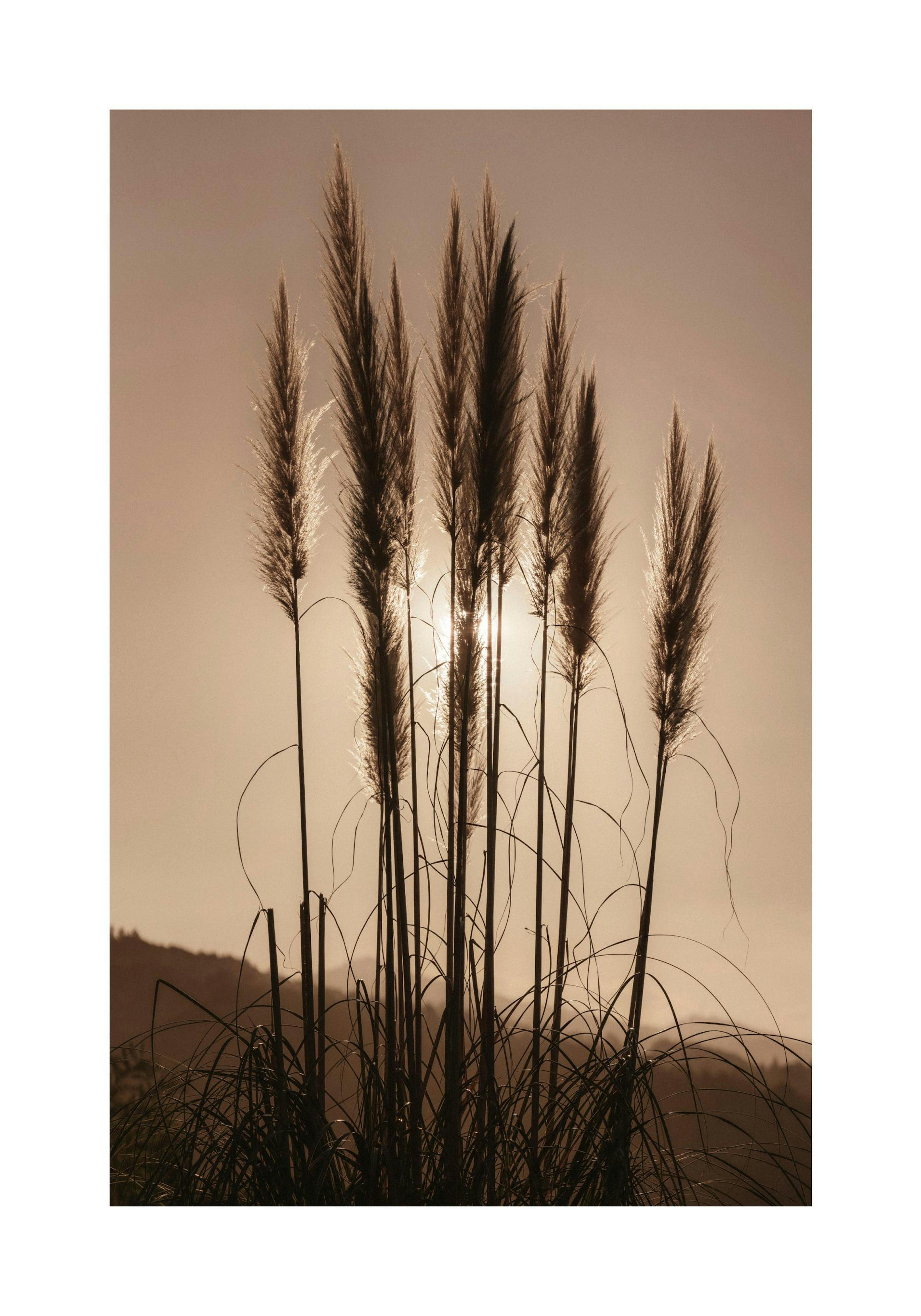 Product image: 1