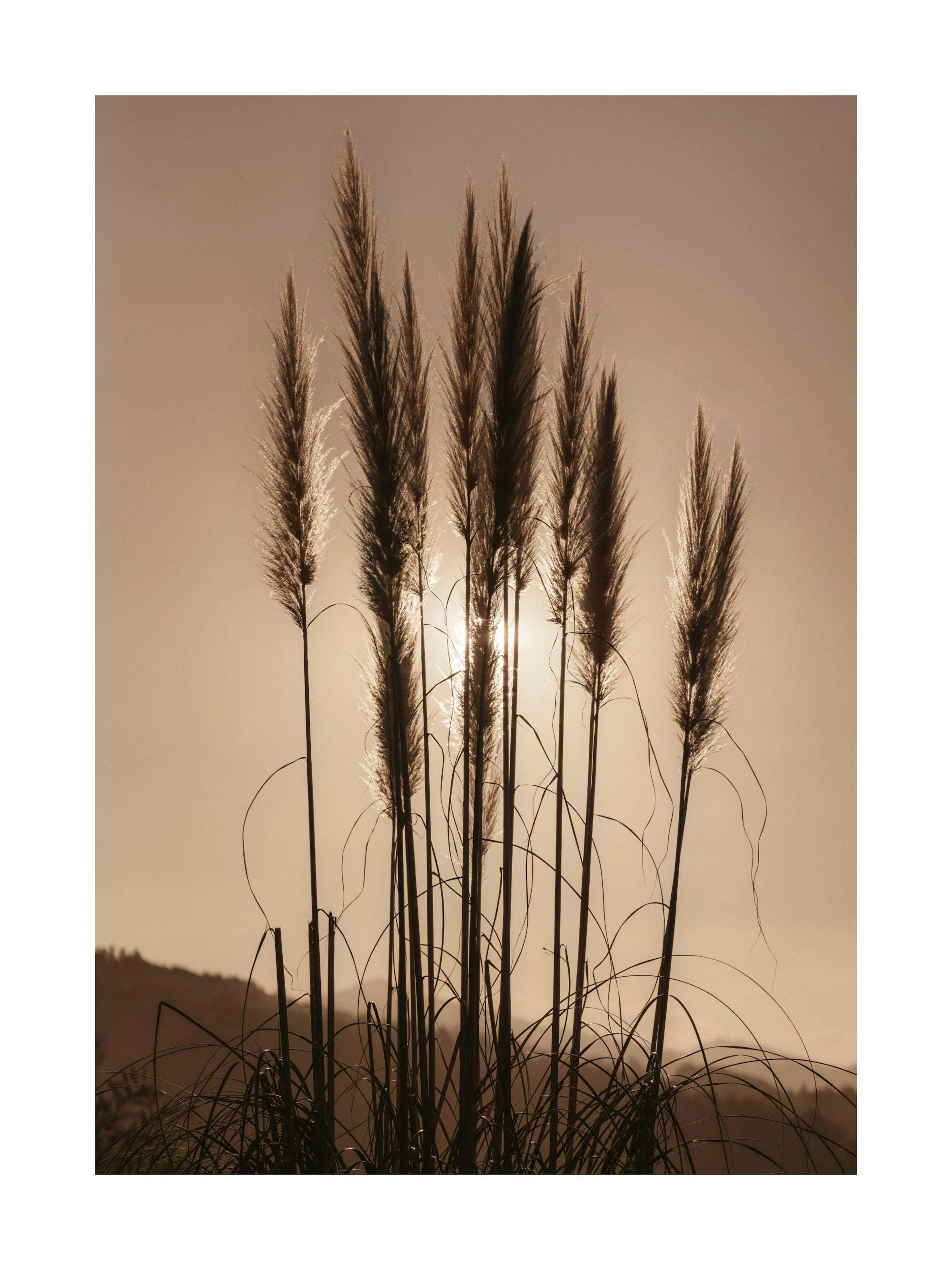 Product image: 1
