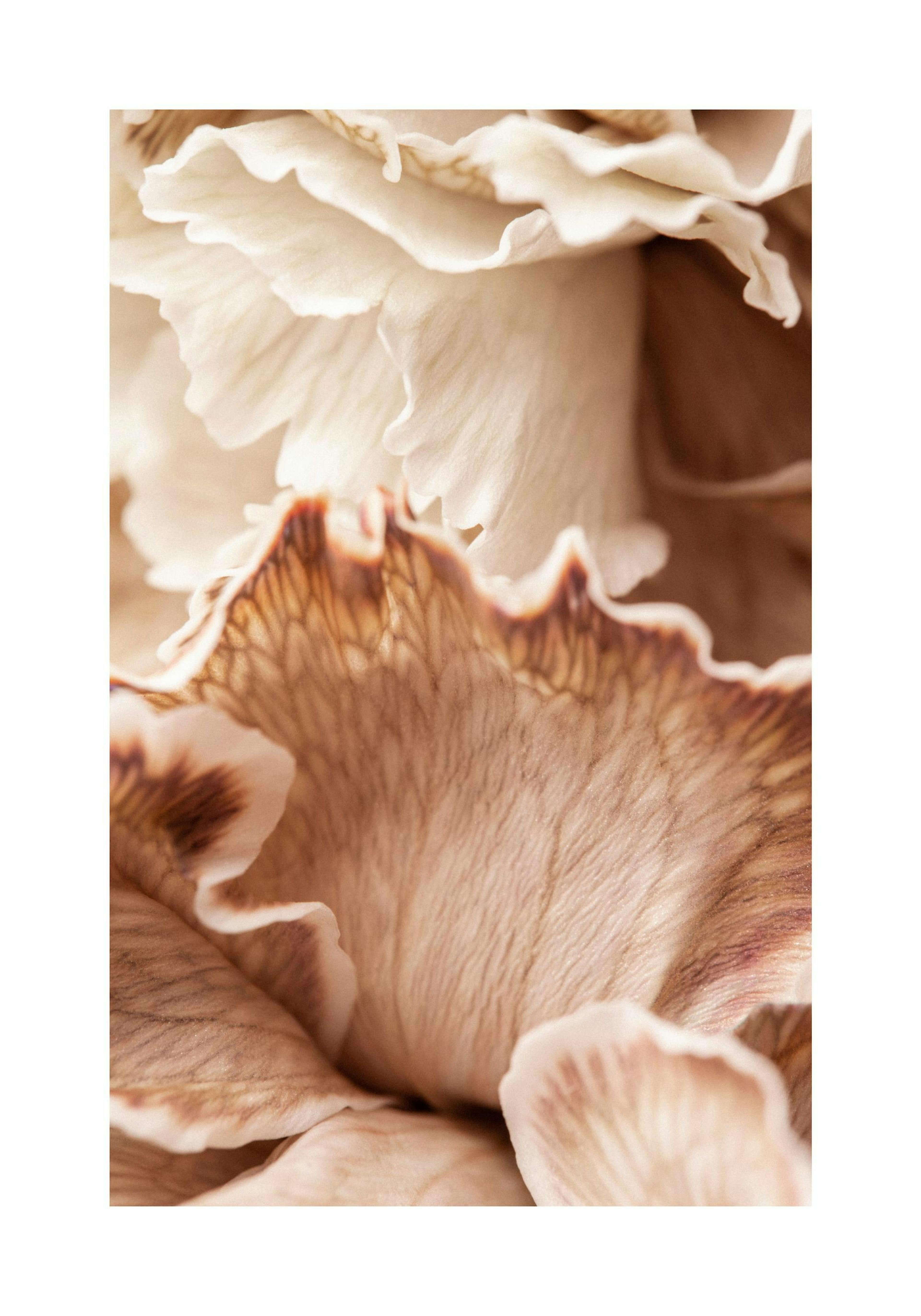 Product image: 1