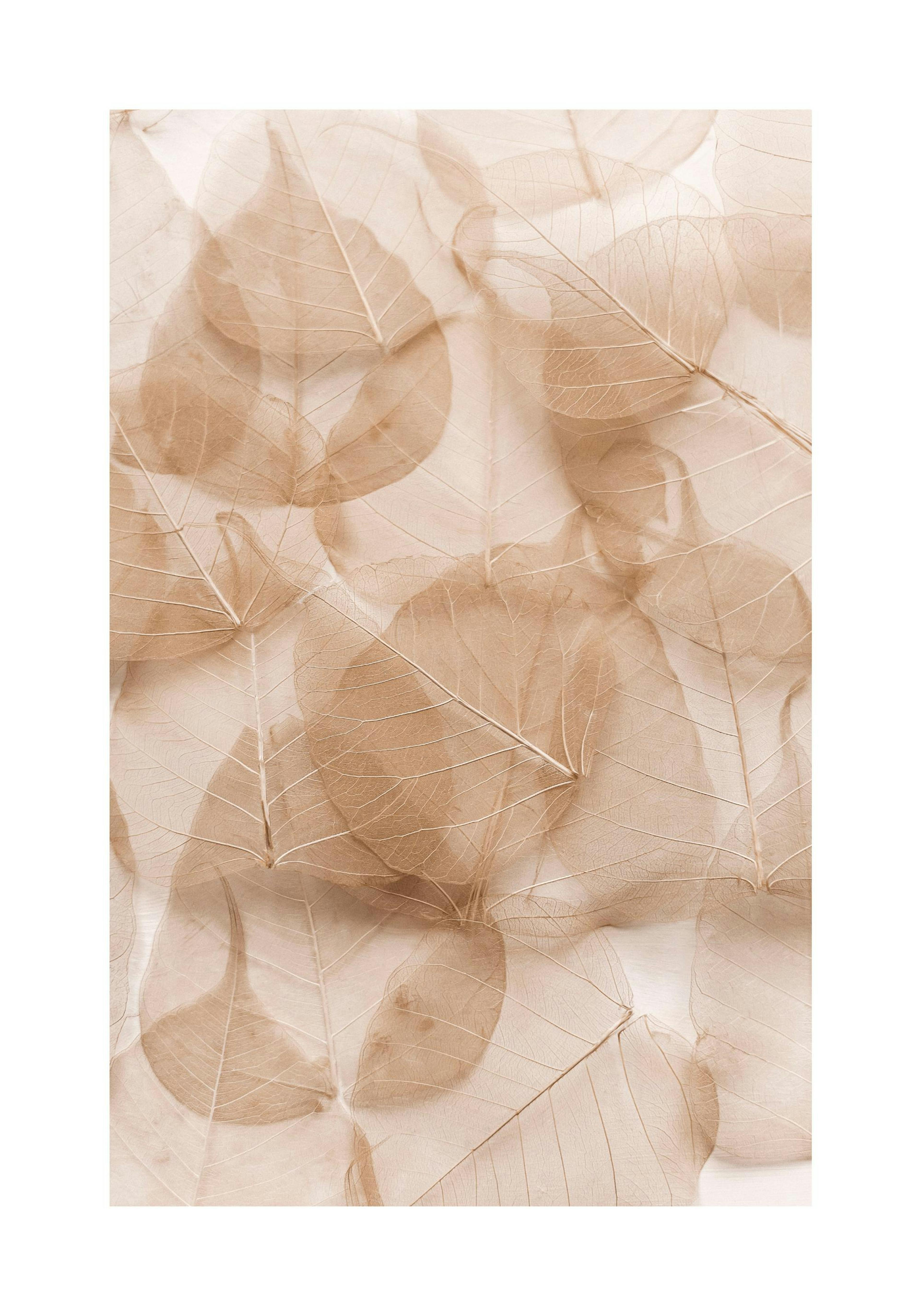 베이지 톤의 잎맥이 섬세하게 표현된 나뭇잎들이 겹쳐진 포스터