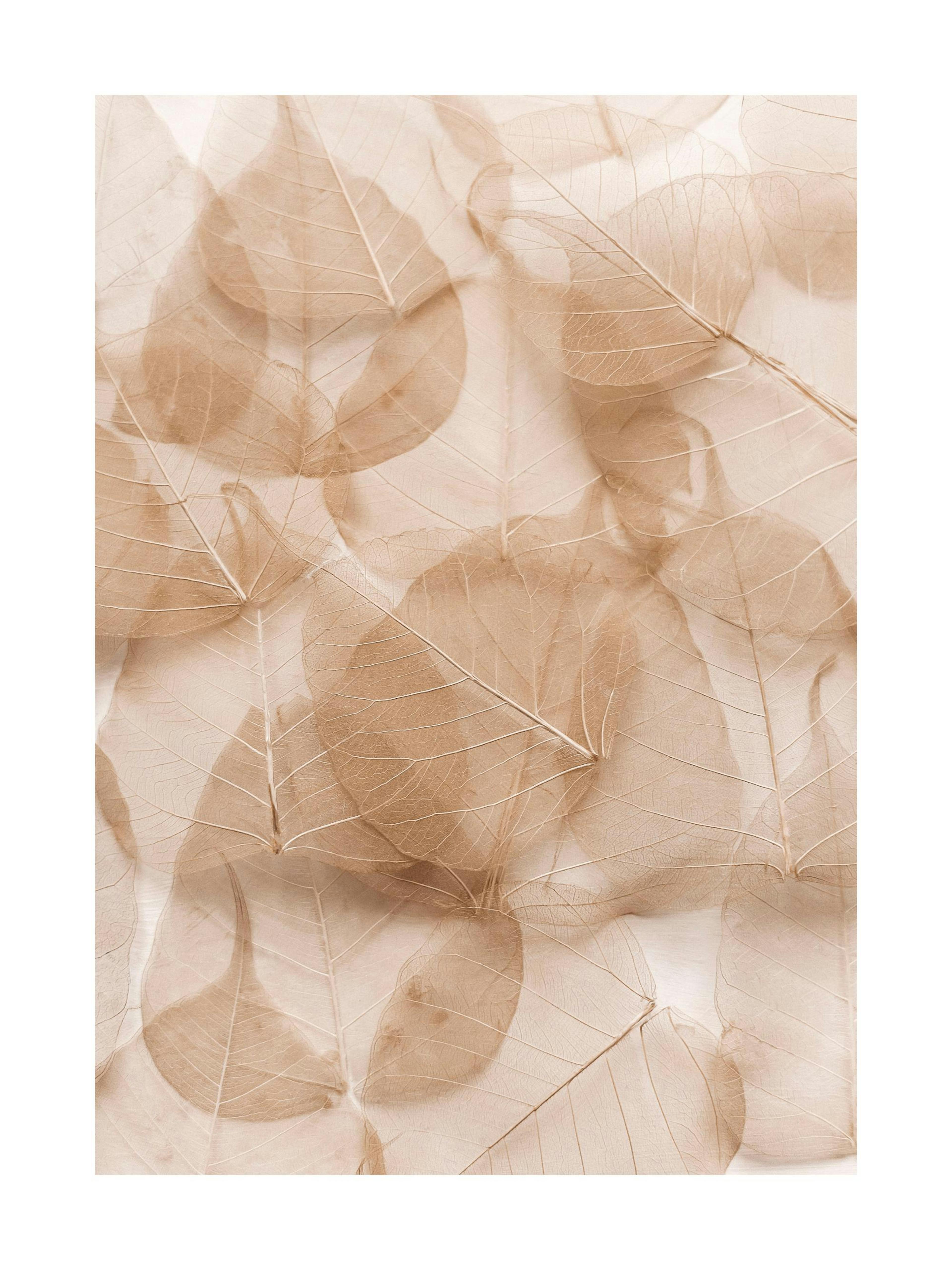 Product image: 1