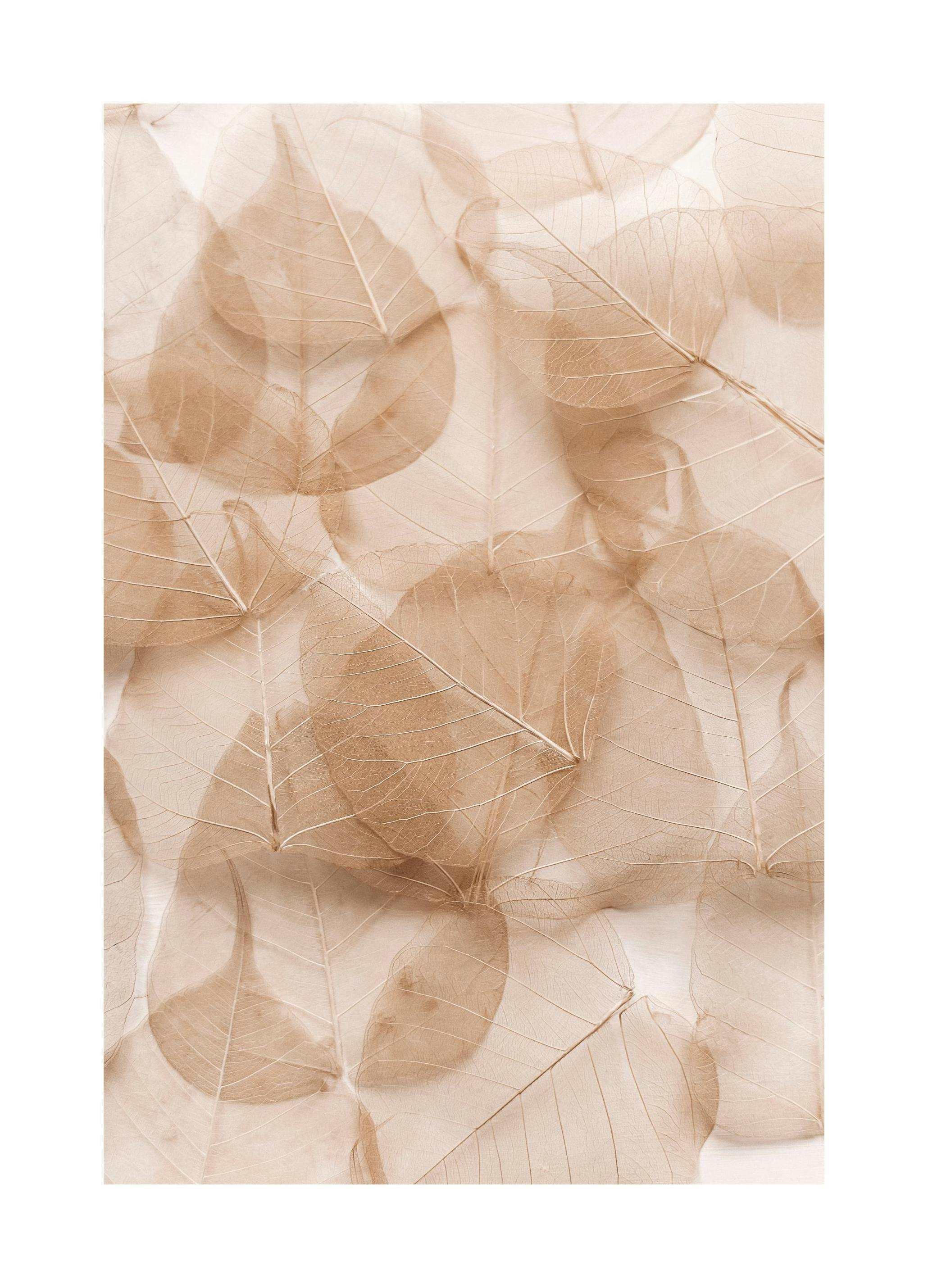 Poster di foglie trasparenti (21x30 cm) - Poster Store