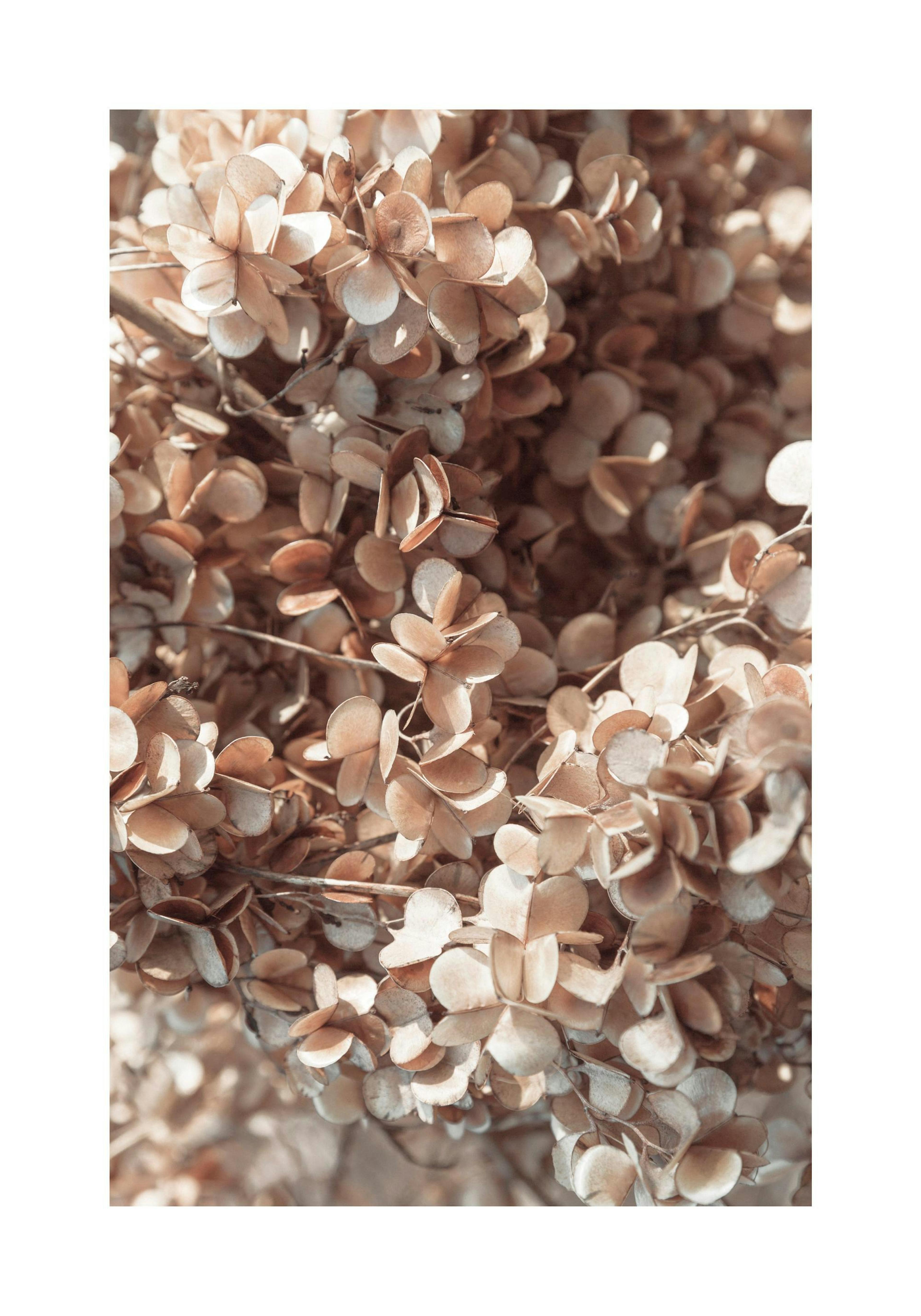 Product image: 1