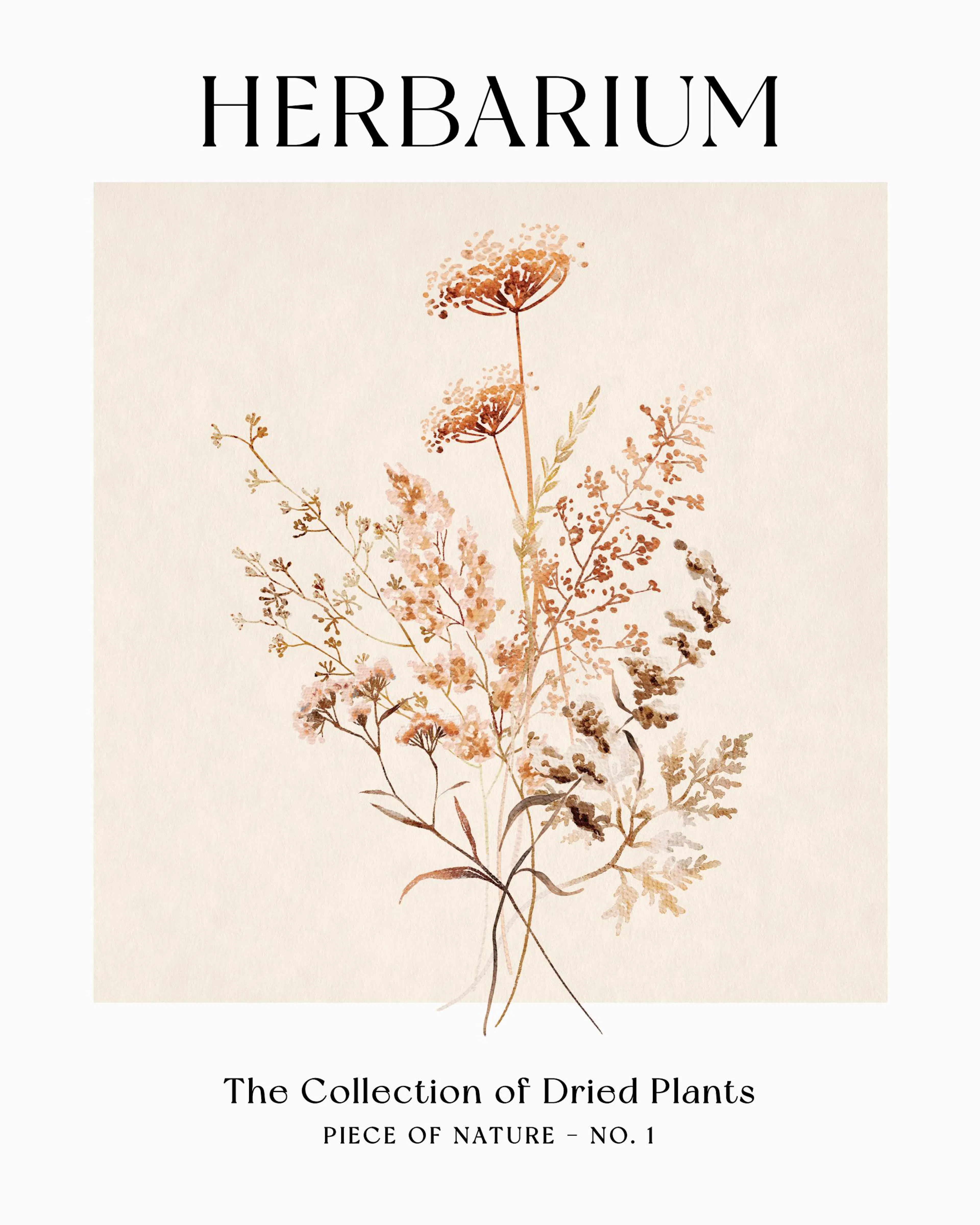 Poster avec illustration de plantes séchées aux tons de terre, sur fond crème, avec le texte HERBARIUM.
