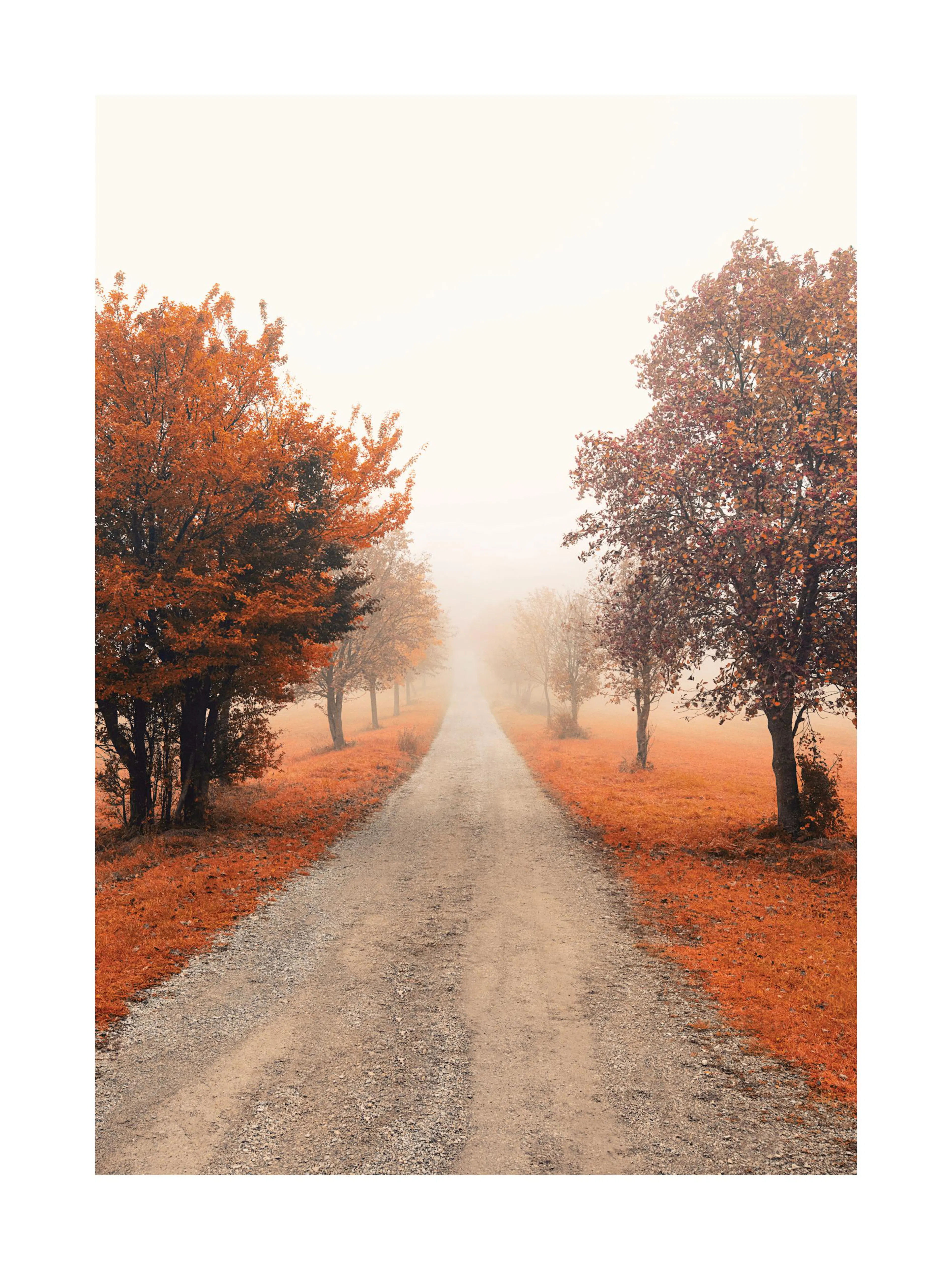 A poster featuring a gravel road disappearing into a misty autumn landscape with trees and orange ground cover.