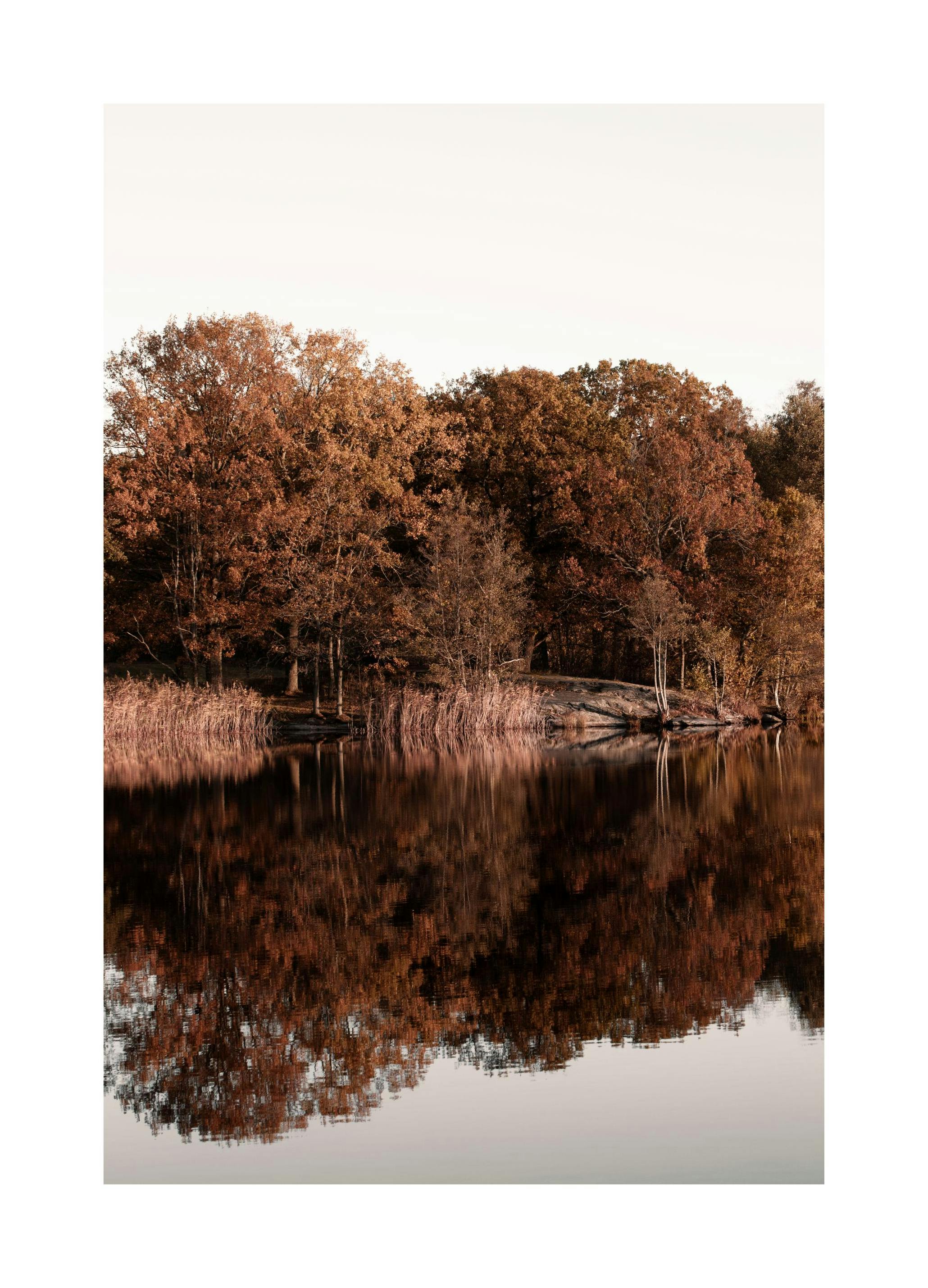 Mirroring Lake-plakat (50x70 cm) - Poster Store