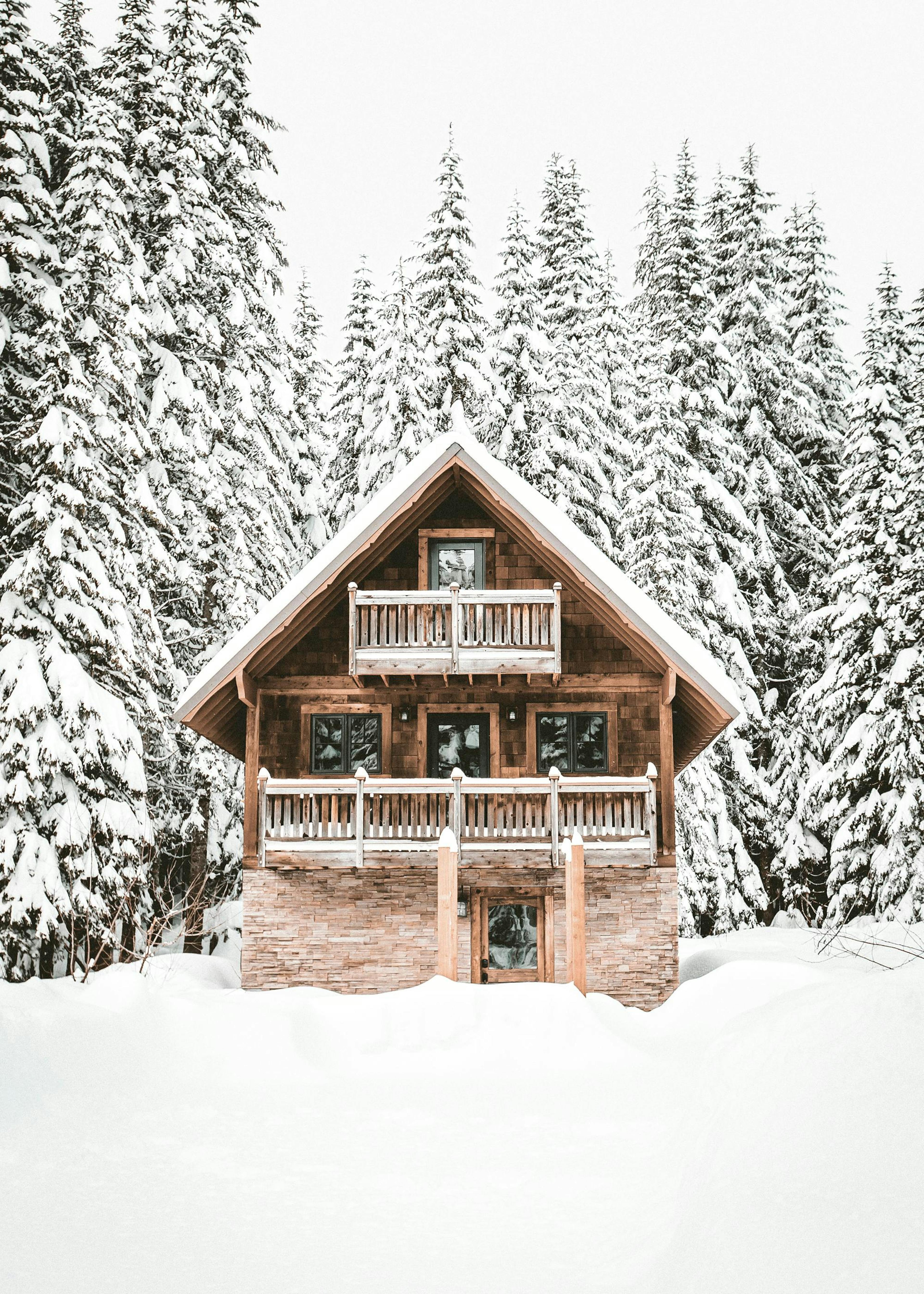 Holiday Cabin Poster 0