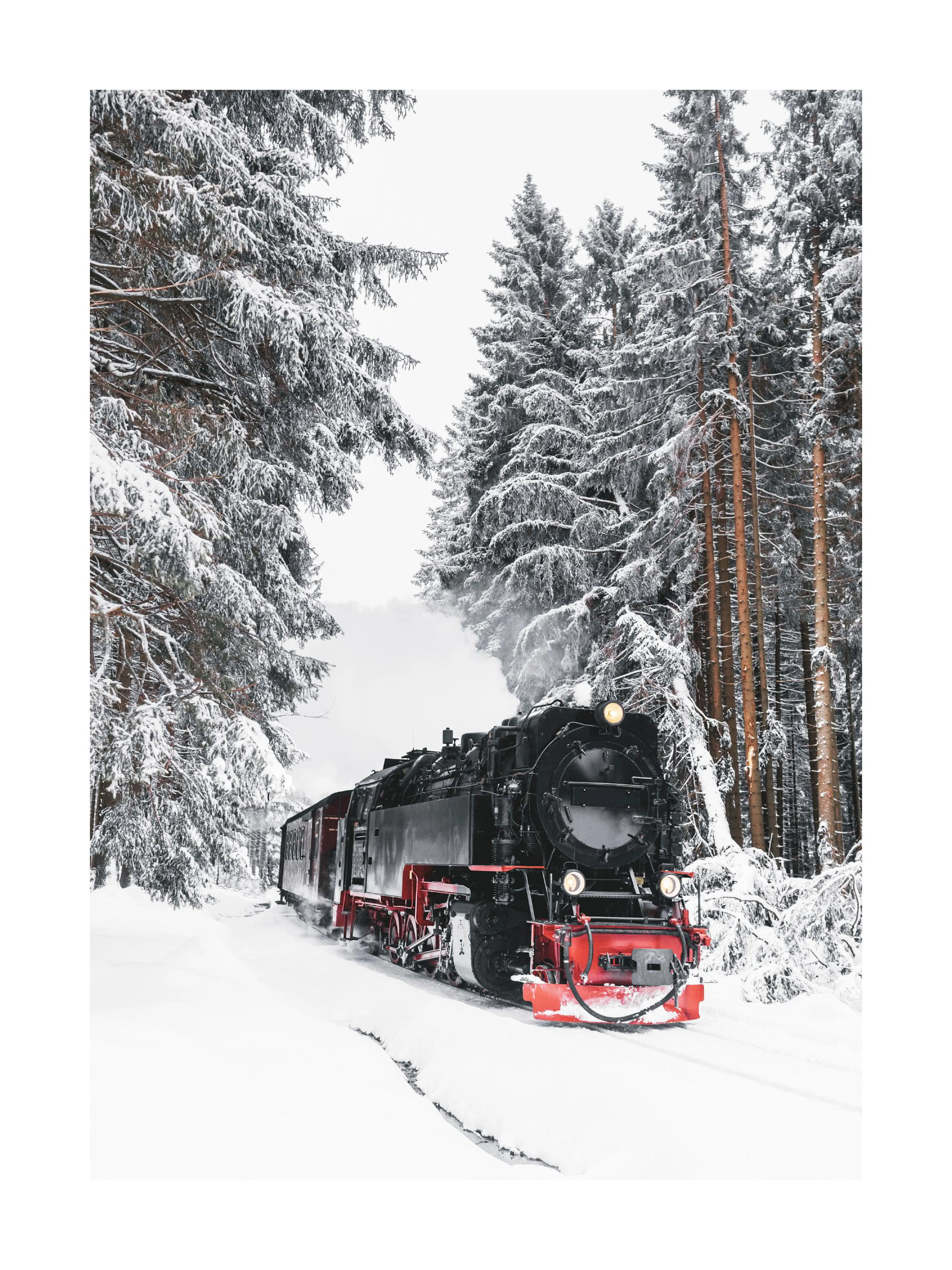 Póster de una majestuosa locomotora de vapor negra y roja que atraviesa un bosque nevado.