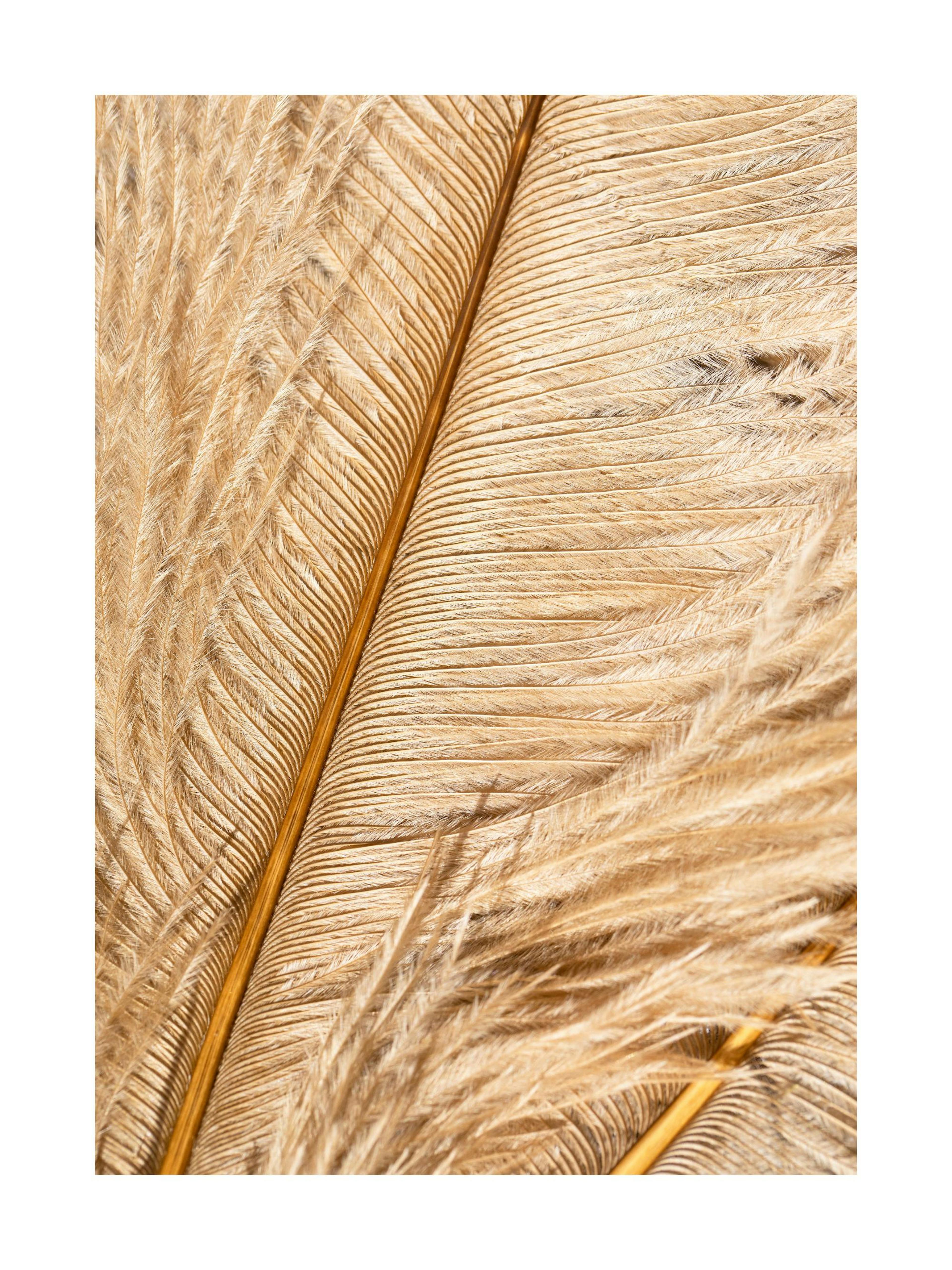 Product image: 1
