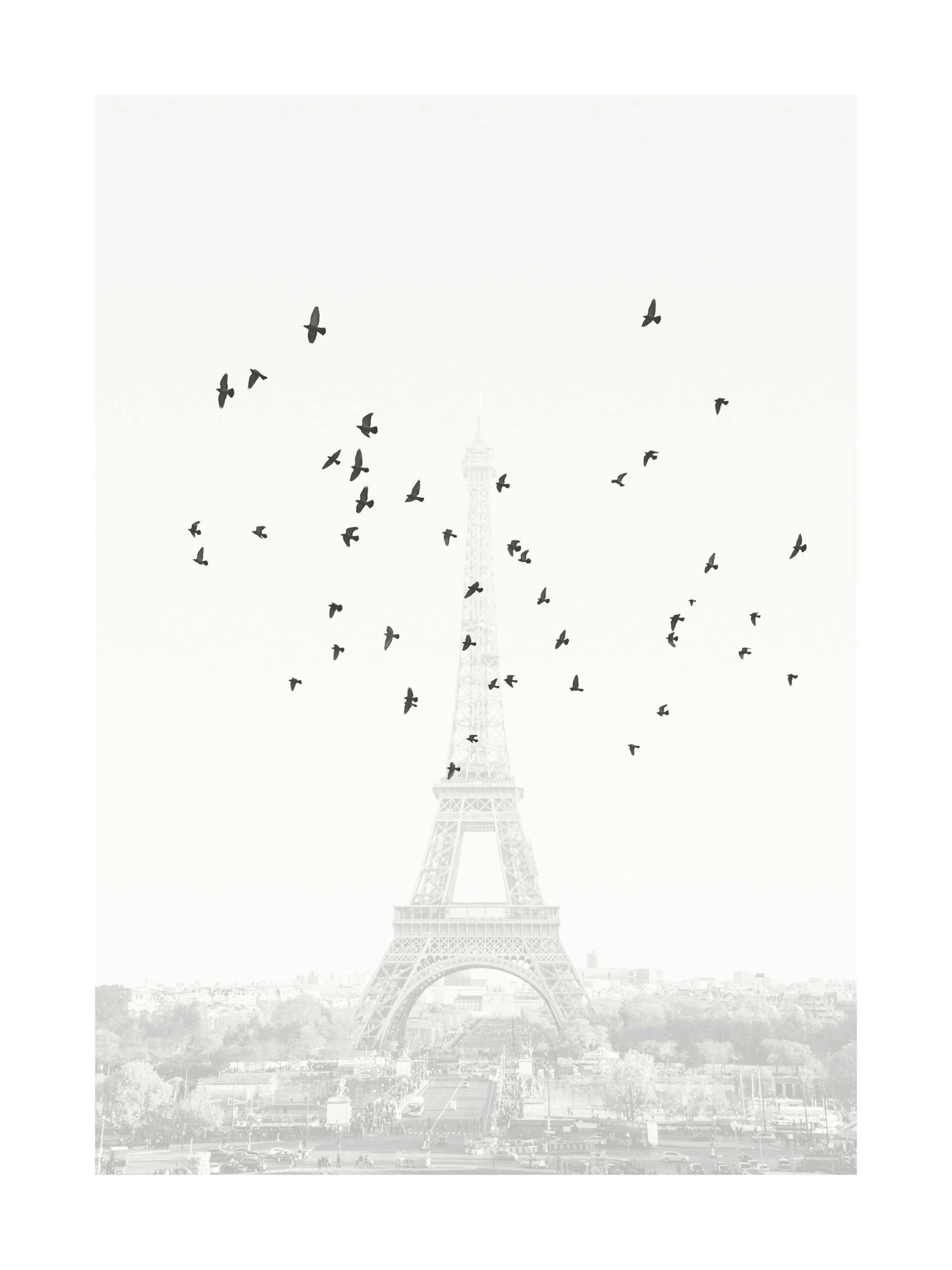 Poster des Eiffelturms in Schwarz-Weiss mit vielen fliegenden Vögeln vor hellem Himmel und Pariser Stadtansicht.