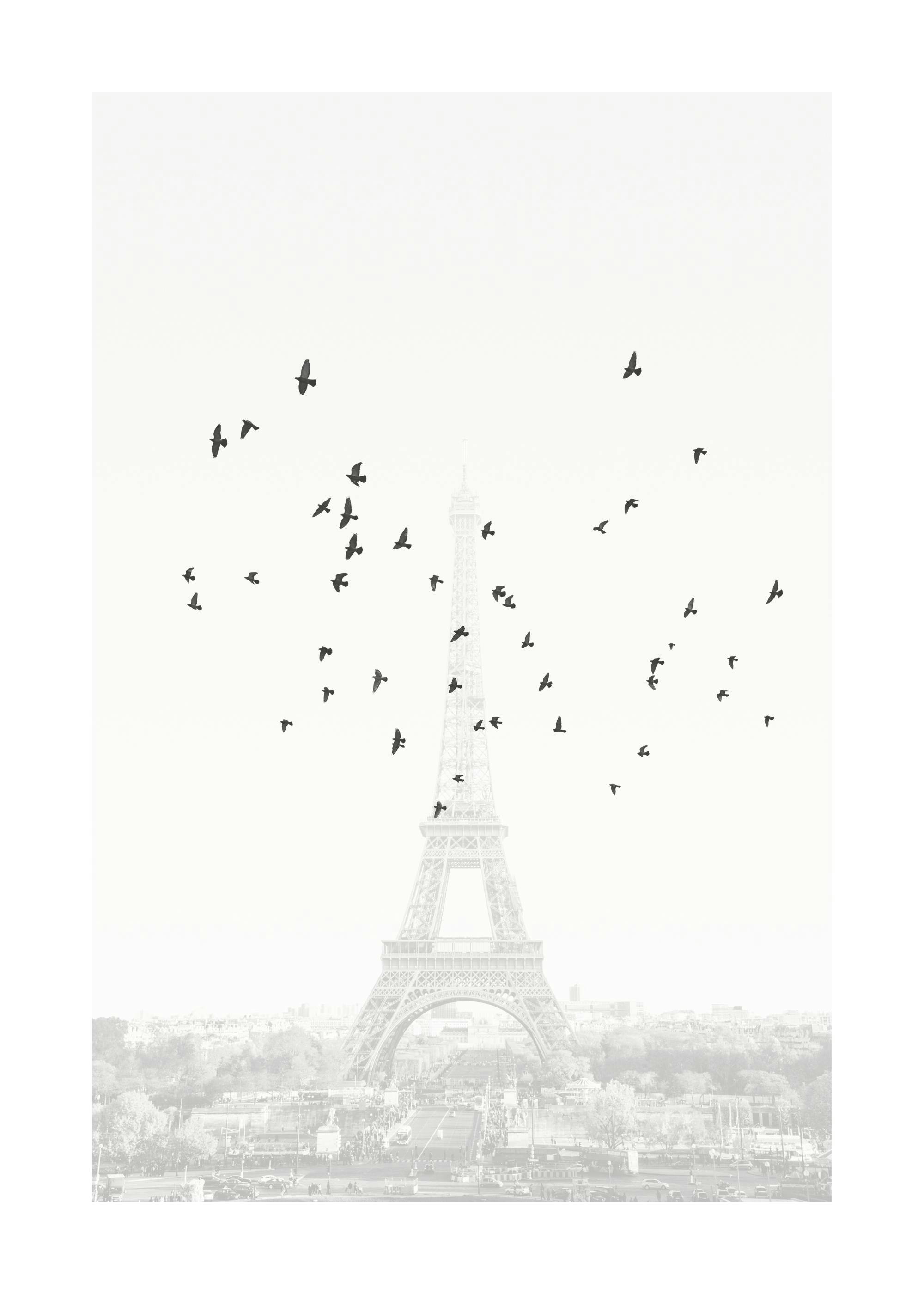 A poster featuring the Eiffel Tower in light grey, with many black birds flying around it against a white sky.