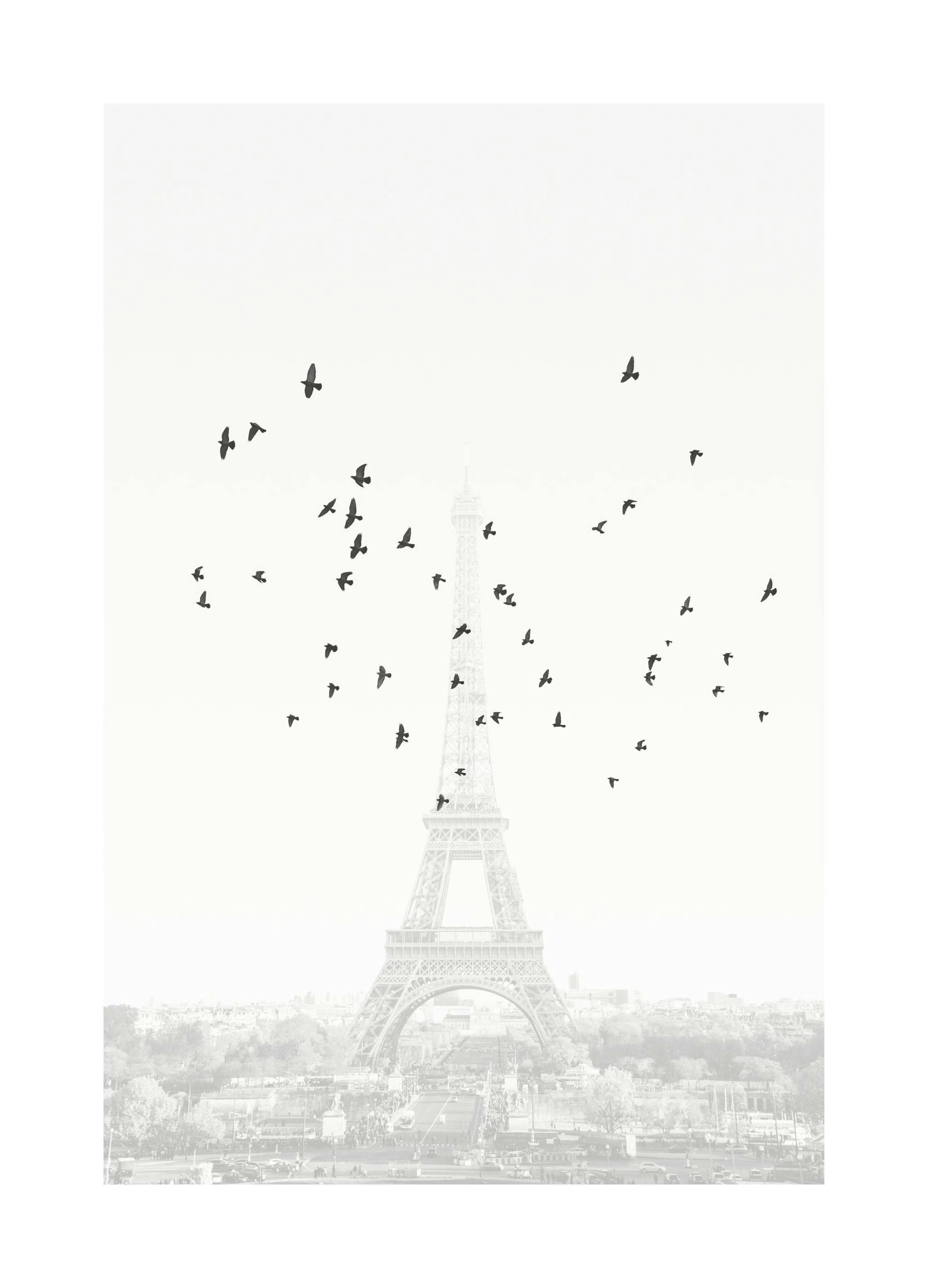 Birds in Paris Poster (30x40 cm) - Poster Store