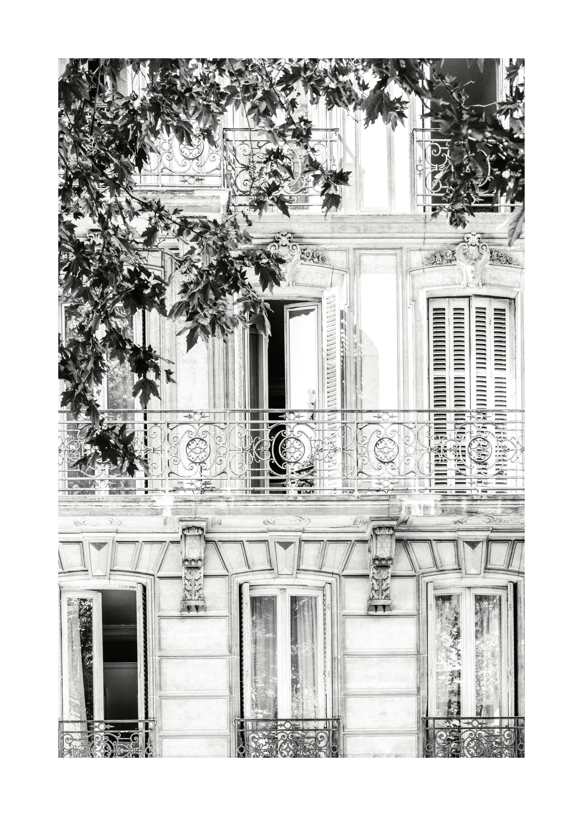 Póster en blanco y negro de una fachada parisina con balcones de hierro forjado y follaje de árbol.