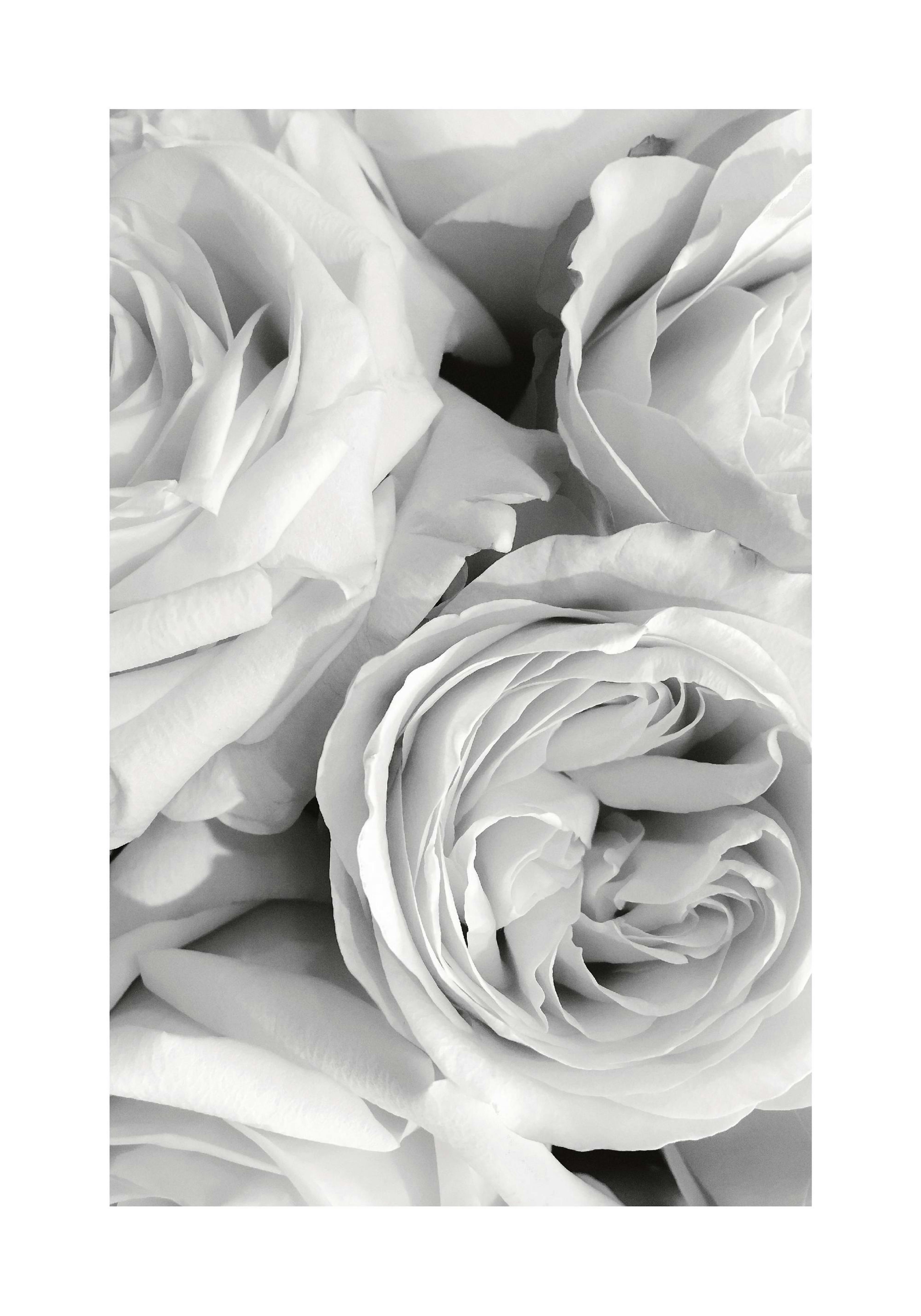 Product image: 1