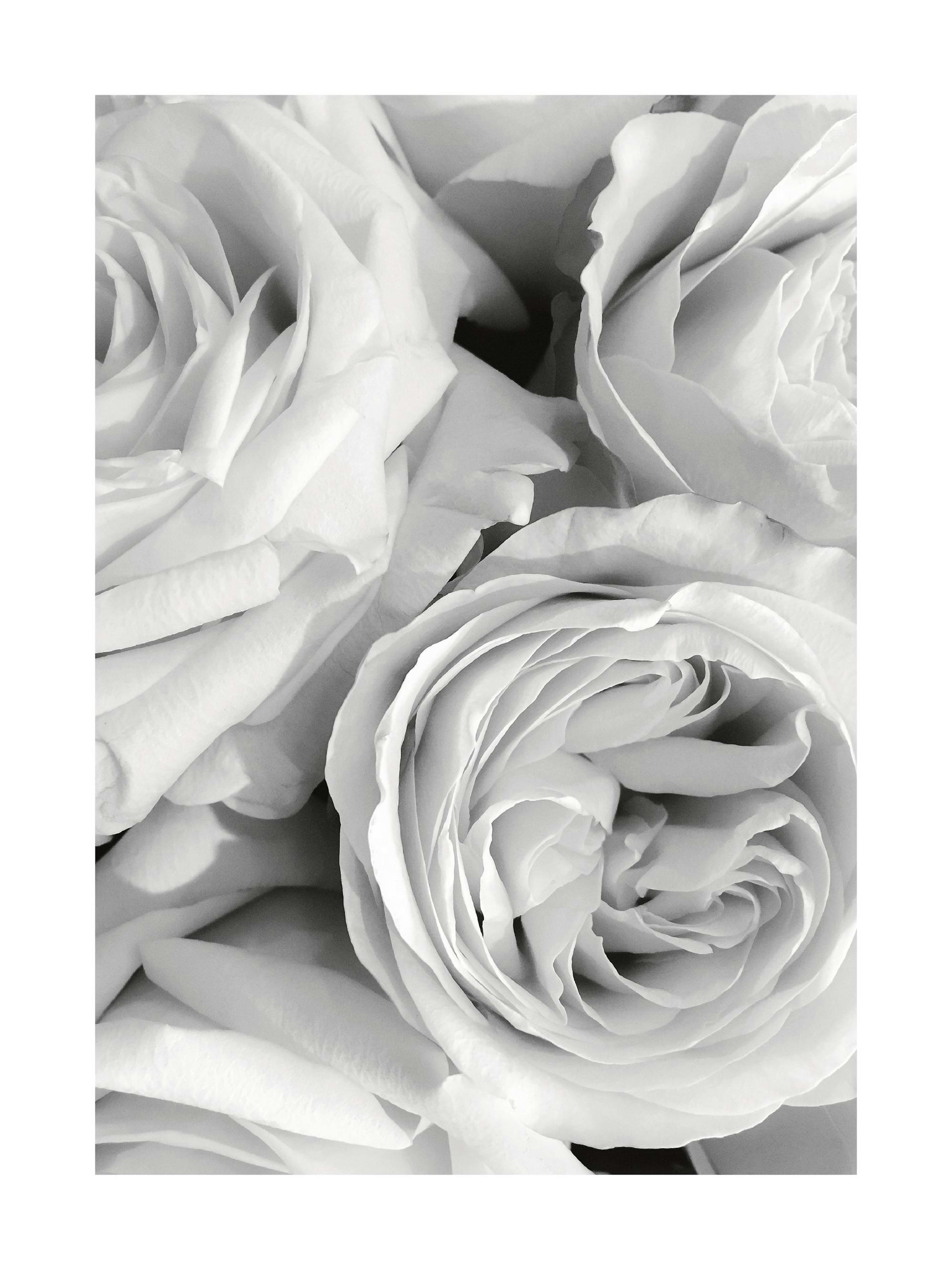 Product image: 1