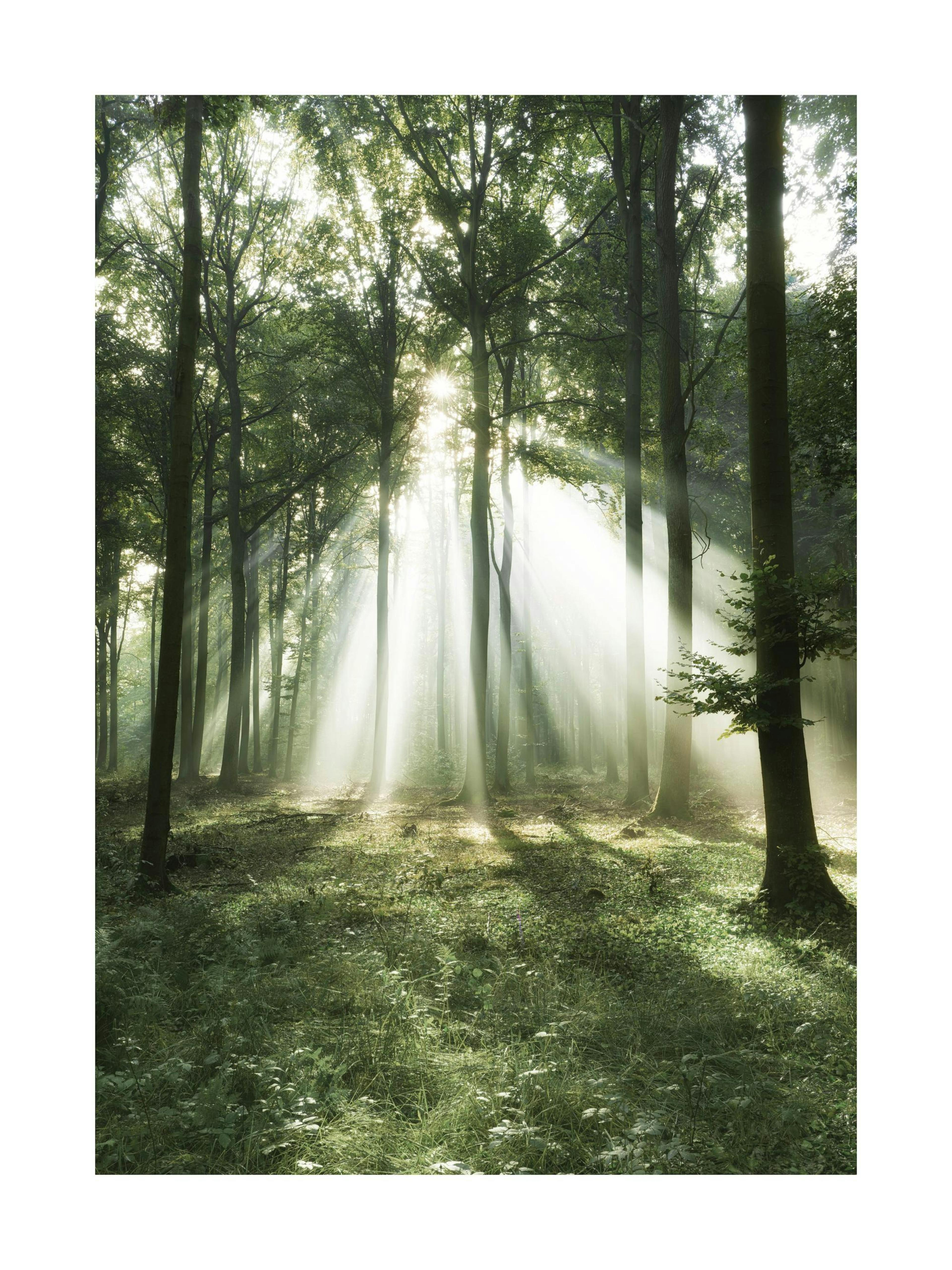 Product image: 1