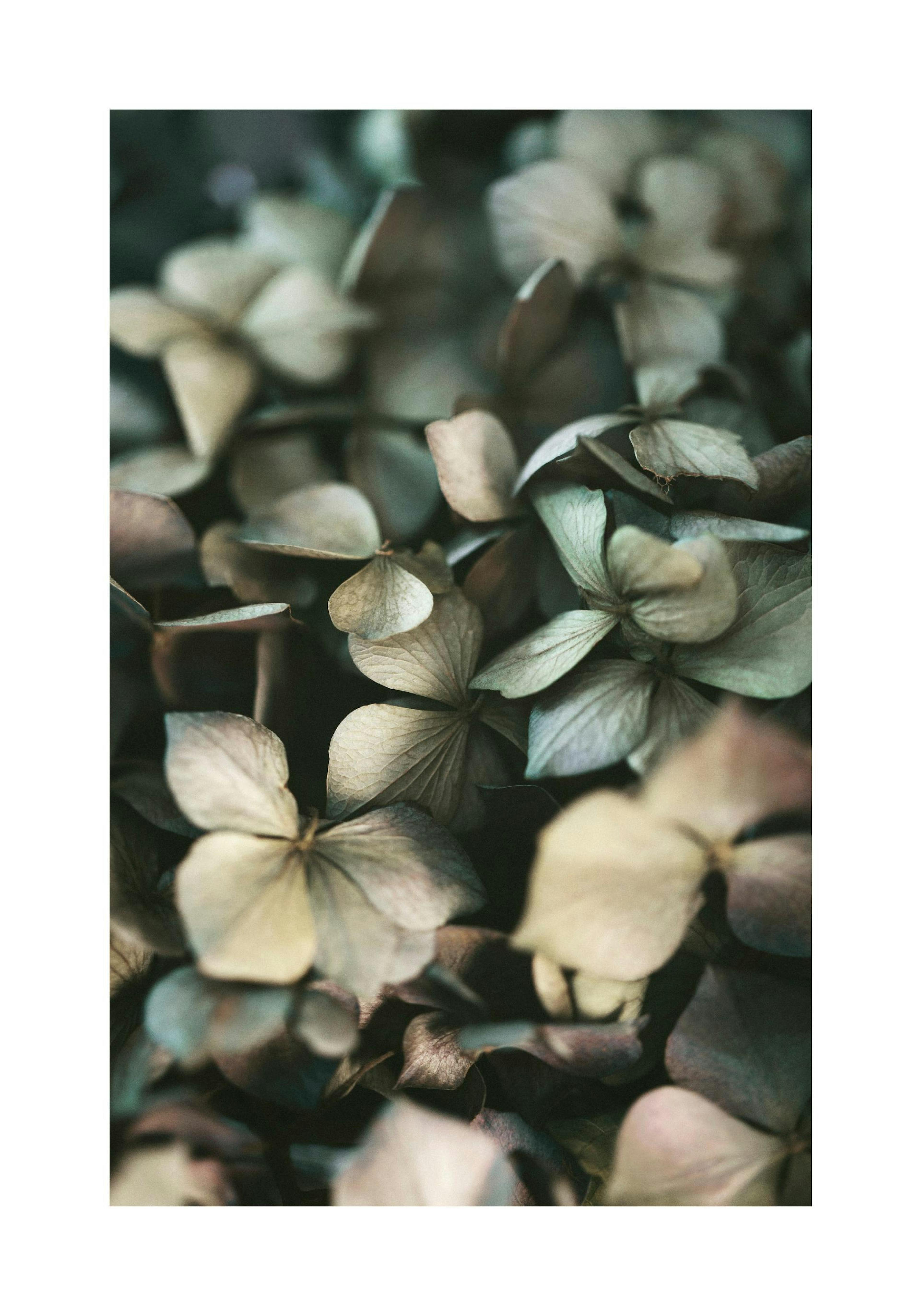 Product image: 1