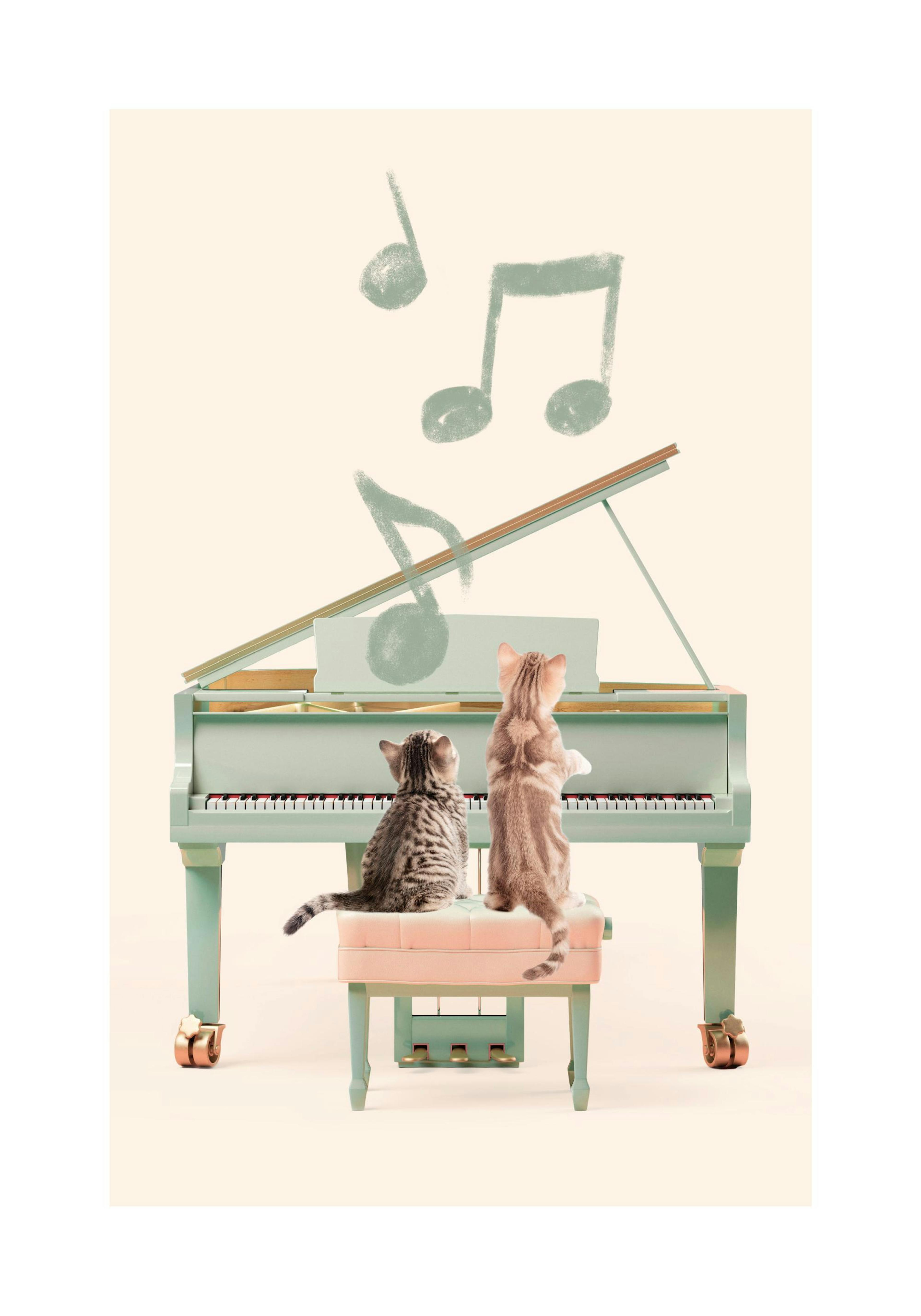 Product image: 1