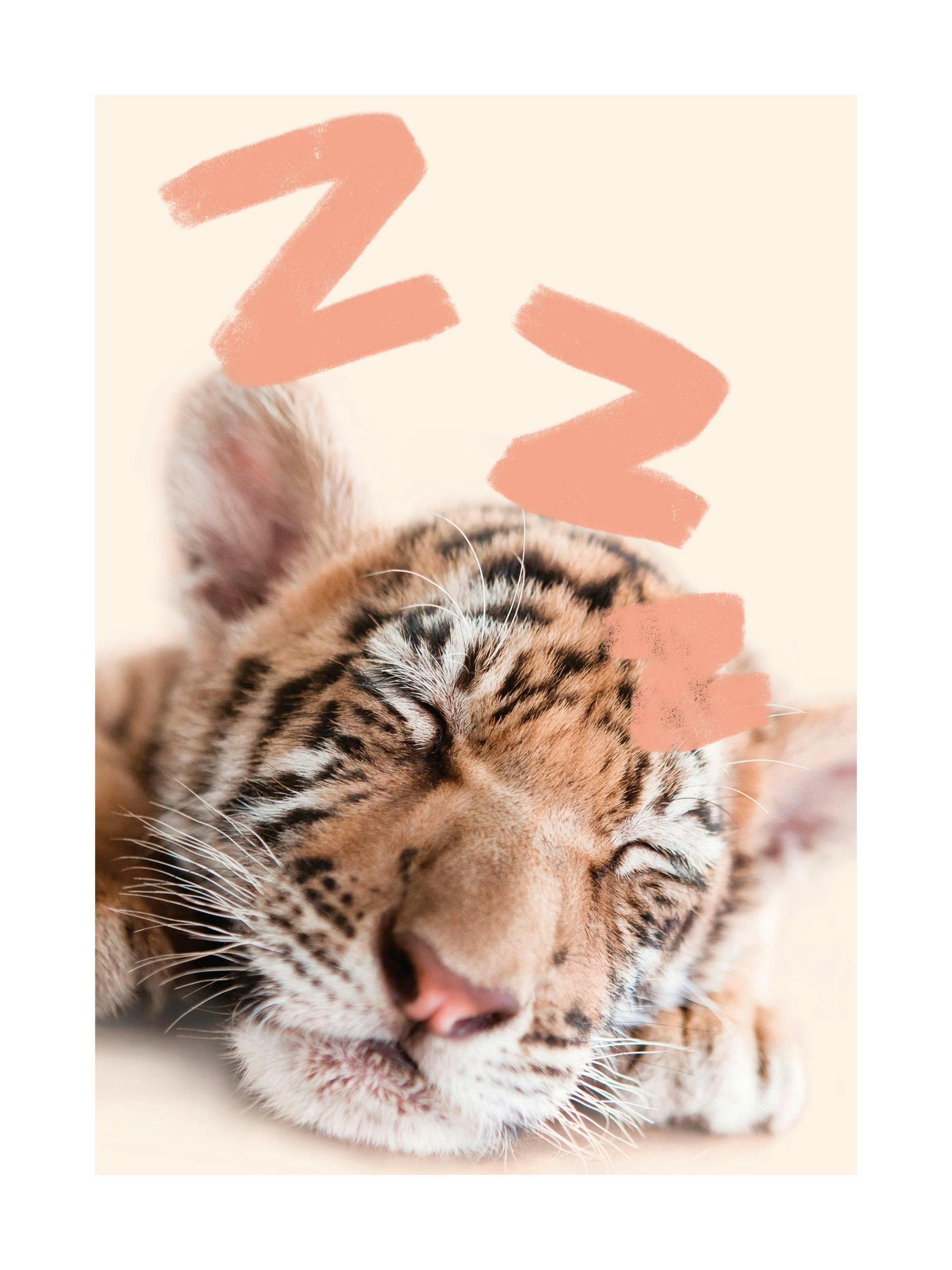 귀여운 아기 호랑이가 잠자는 모습과 주황색 Zzz 글자가 있는 포스터