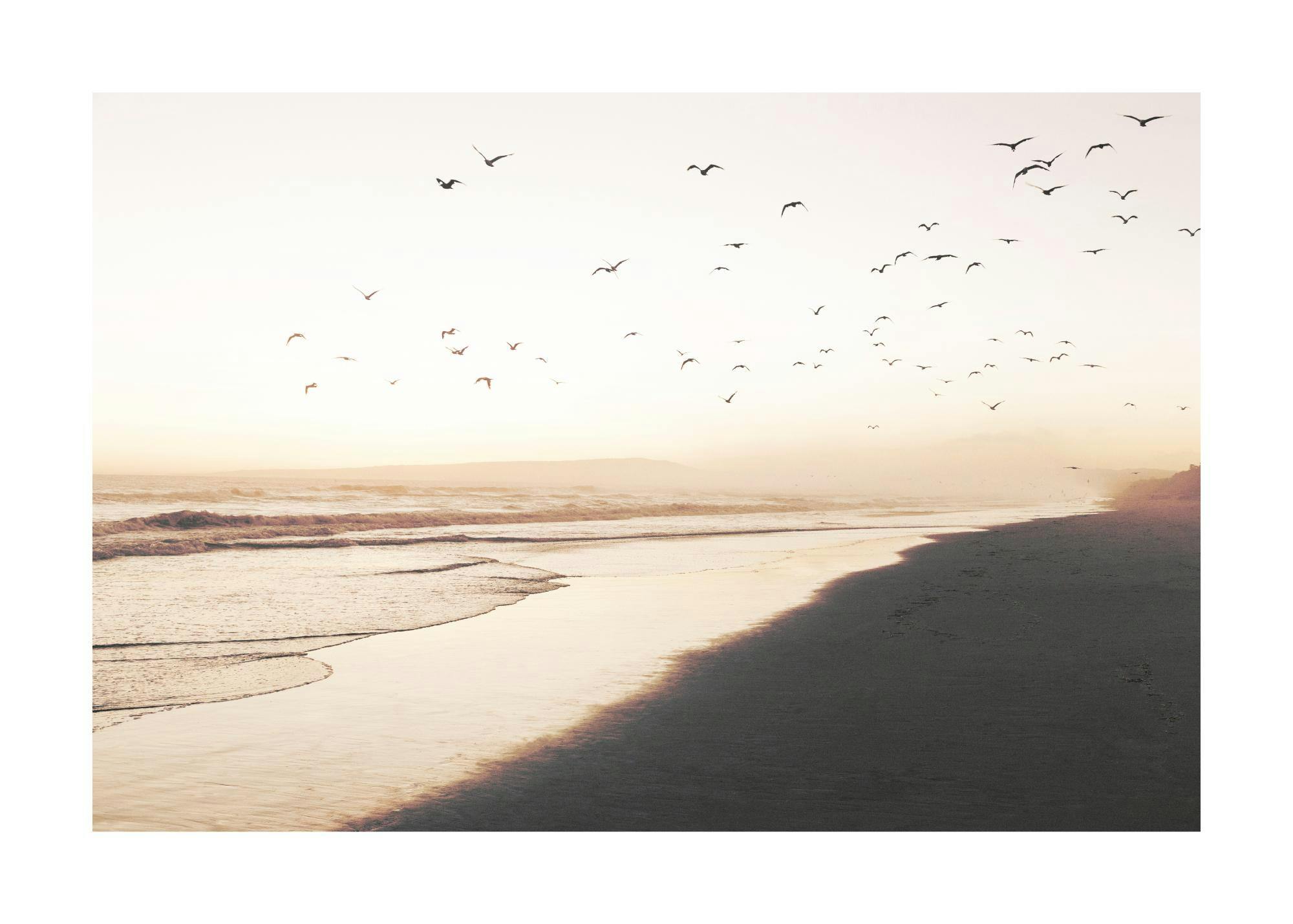 Póster de una playa al atardecer con olas suaves, reflejos dorados en la arena mojada y aves volando en el cielo claro.