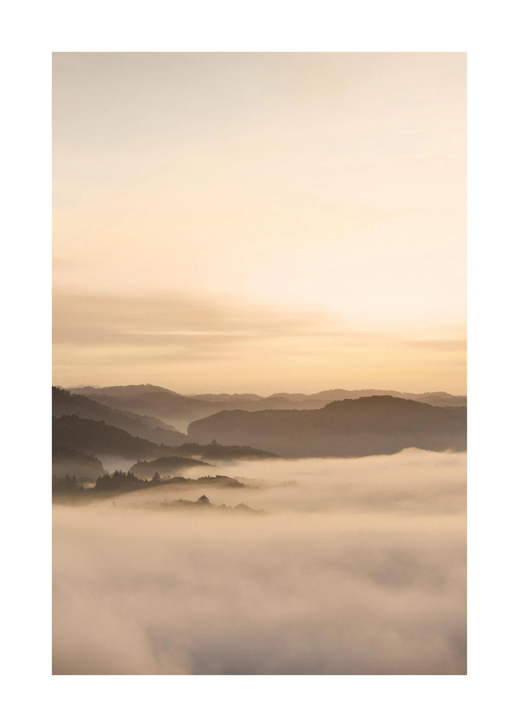 A poster depicting a misty sunrise over rolling hills and forests, with layers of fog filling the valleys.