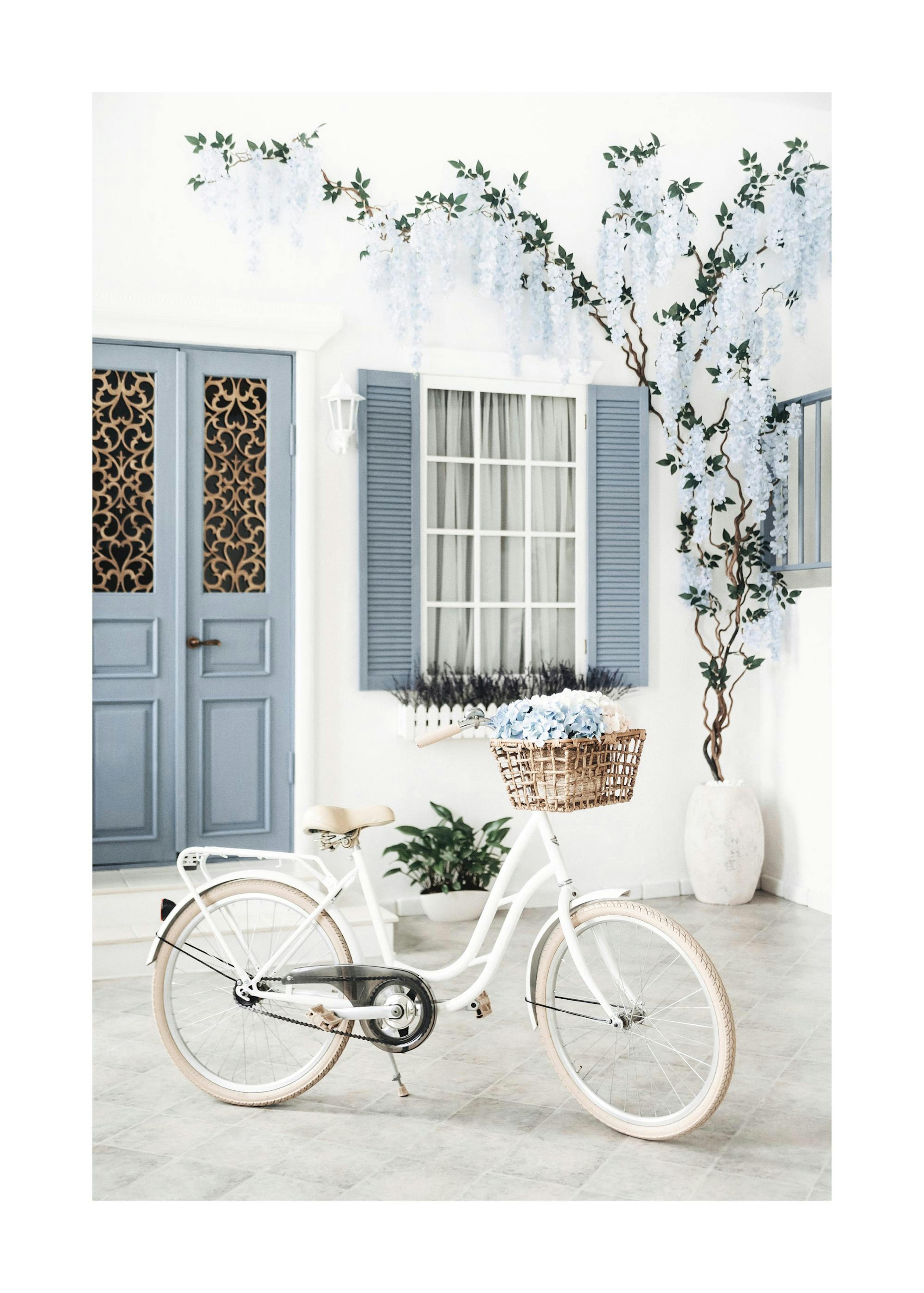 Vit Cykel Poster 0