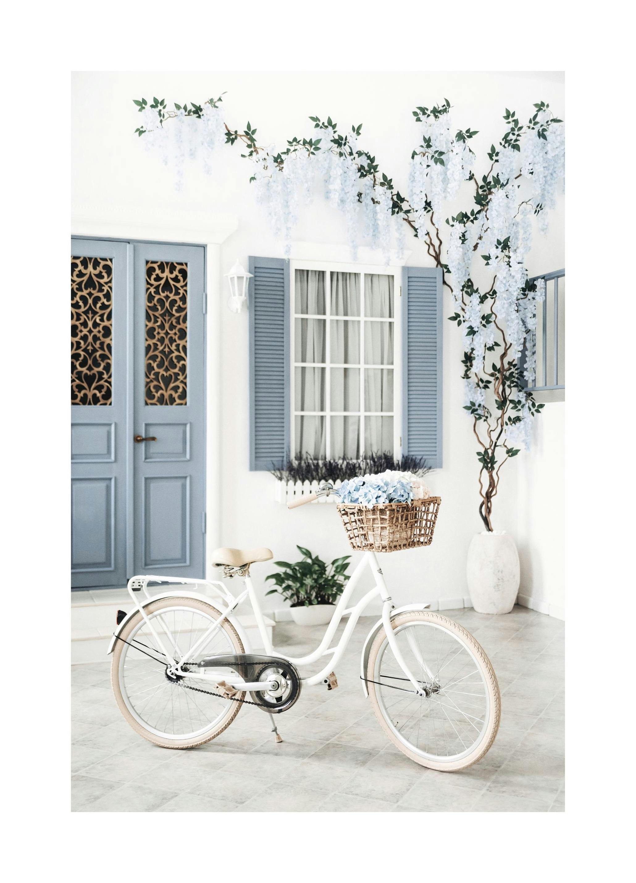 Vélo blanc Affiche (30x40 cm) - Poster Store