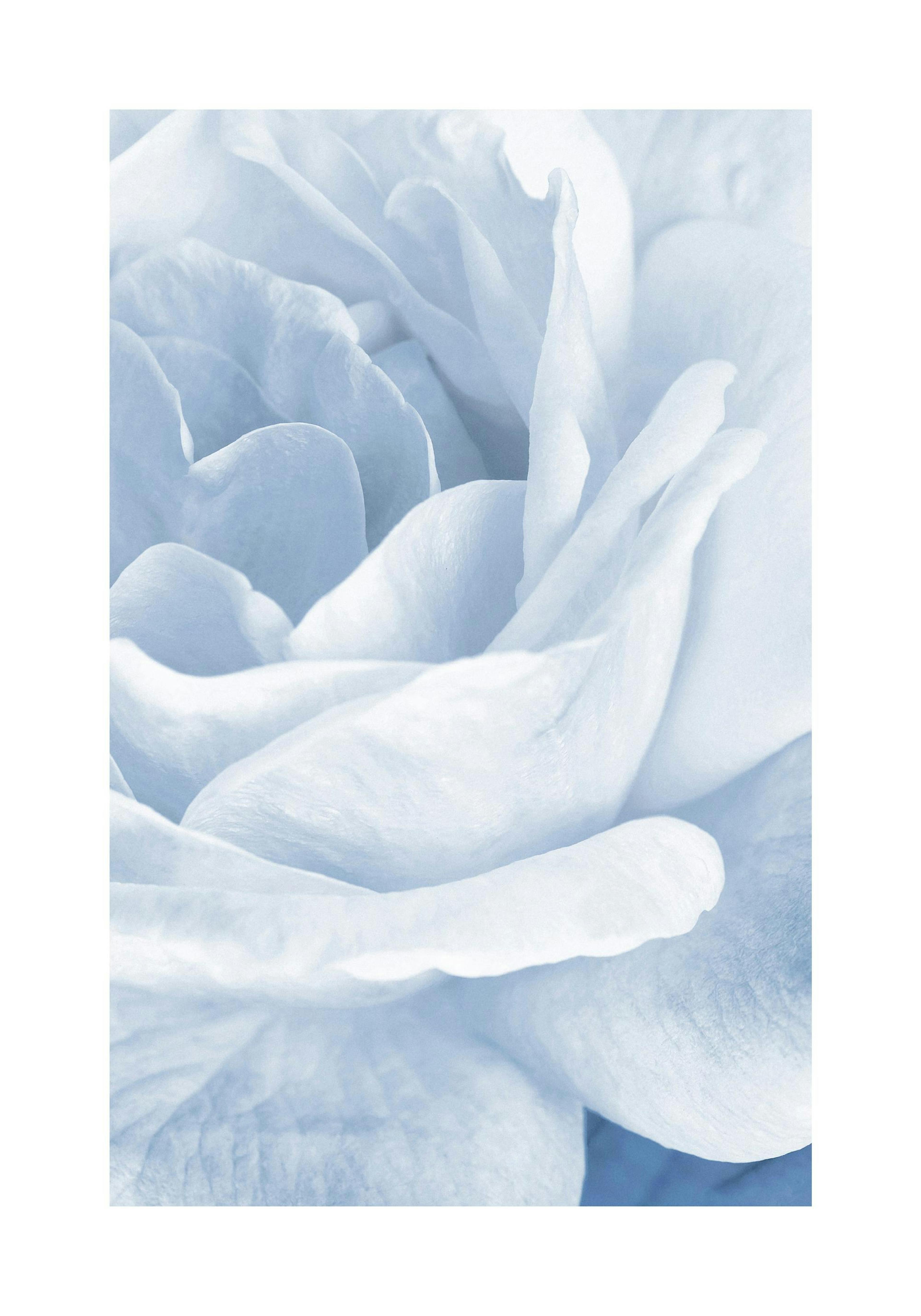 Product image: 1