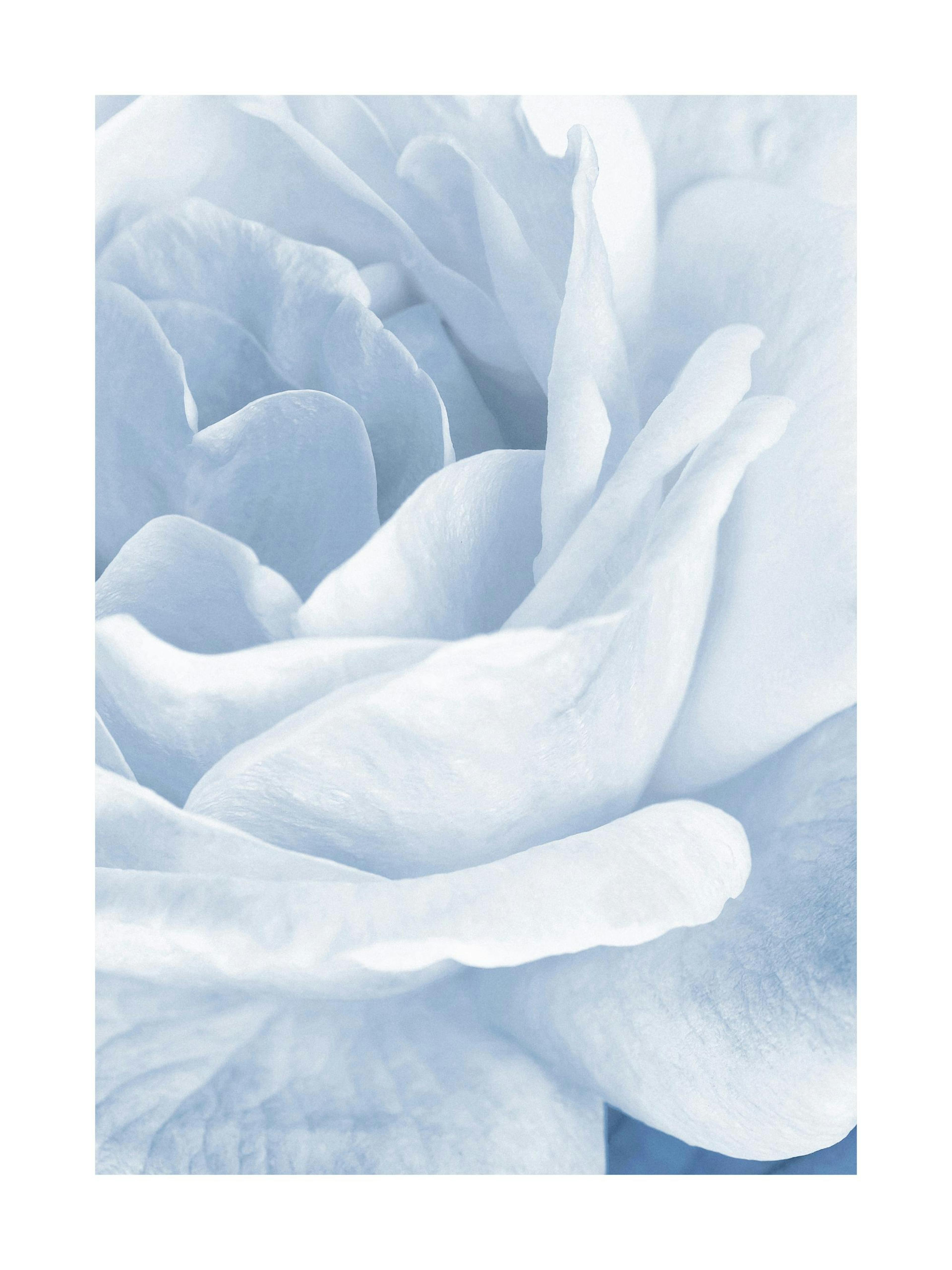 Product image: 1