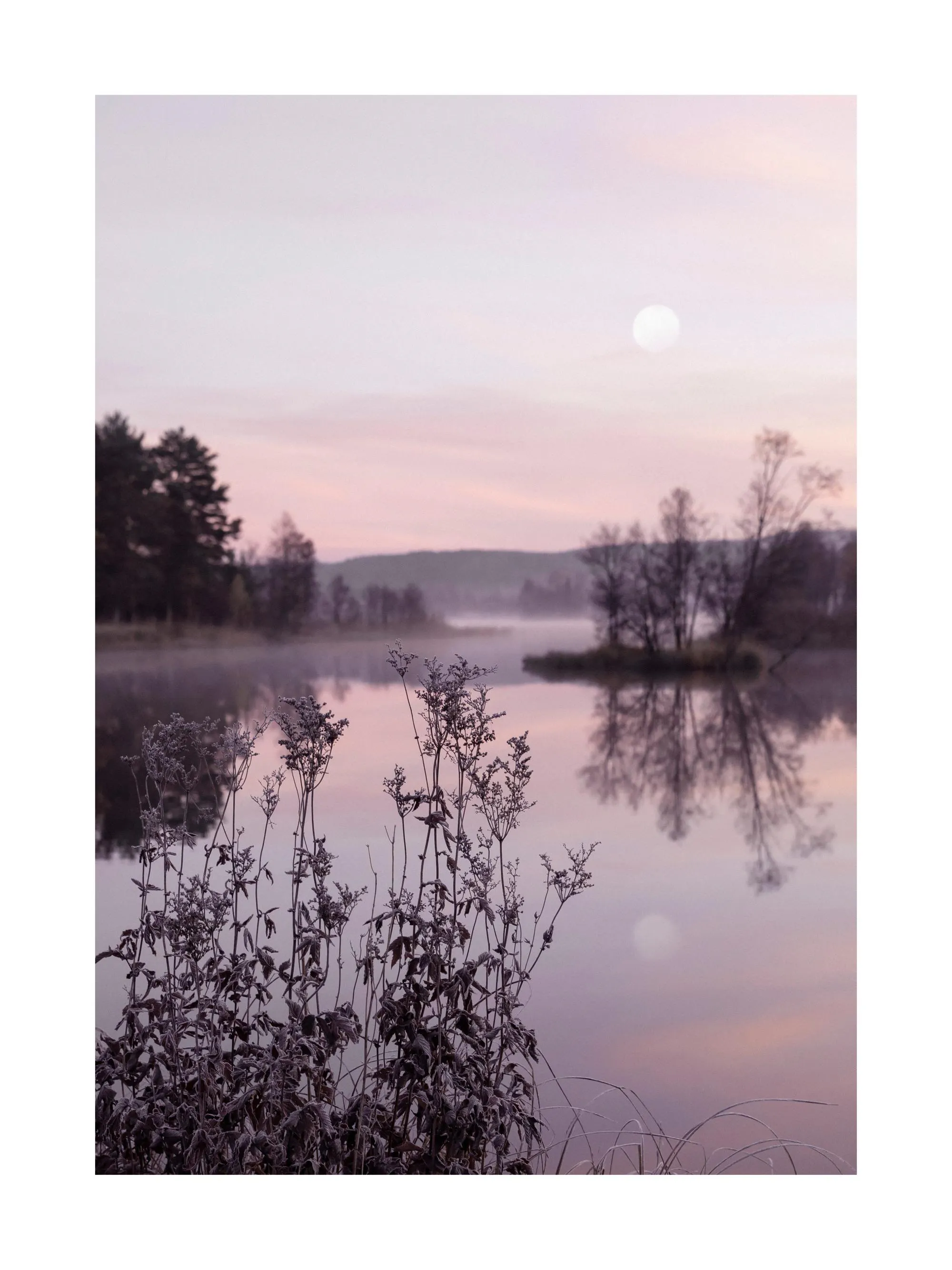 Poster eines Wintermorgens mit Raureif an Pflanzen im Vordergrund, einem Fluss, Bäumen und einem Vollmond am rosa Himmel.