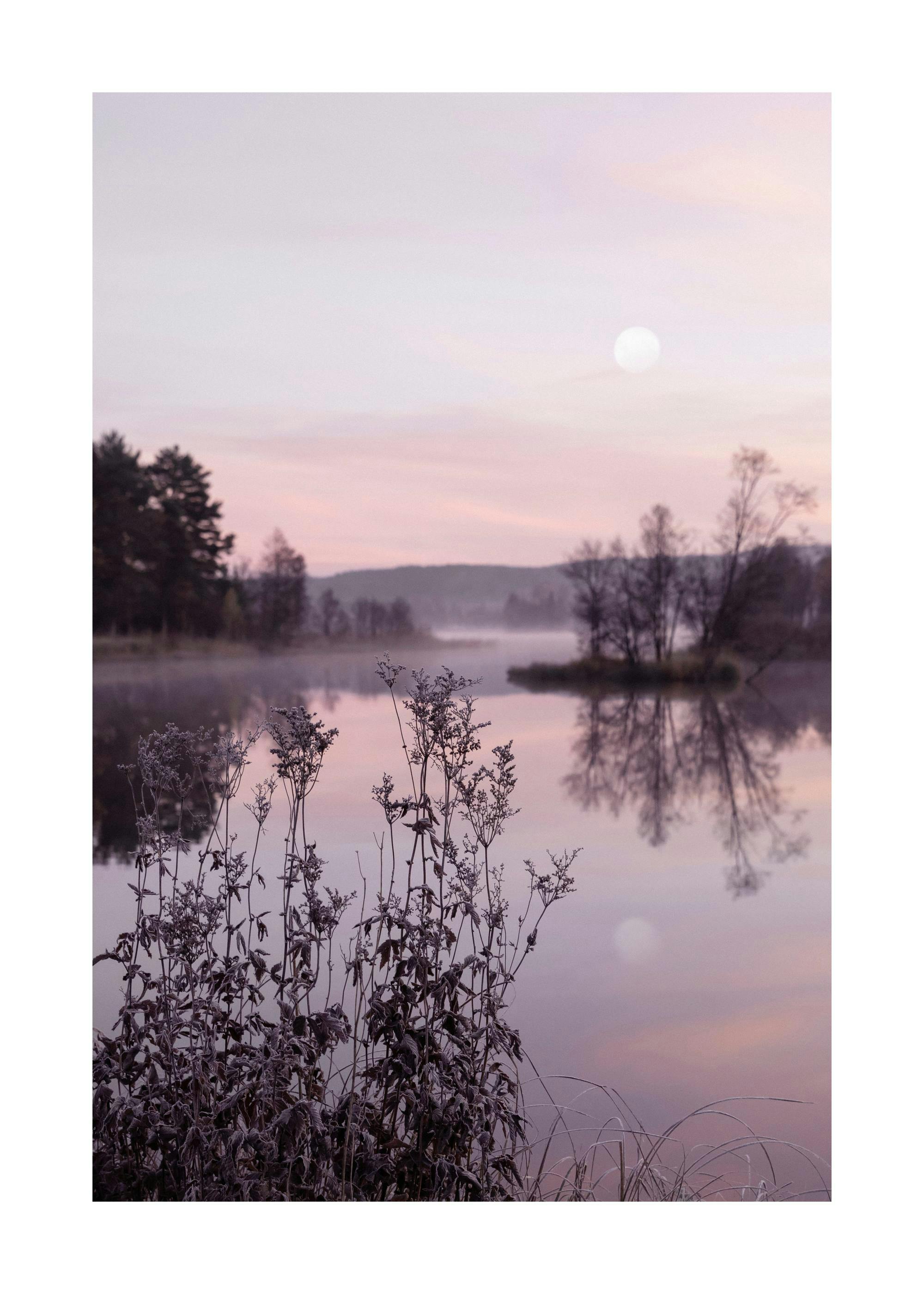 Un póster de un lago brumoso al amanecer con un sol pálido, árboles reflejados en el agua y plantas en primer plano.