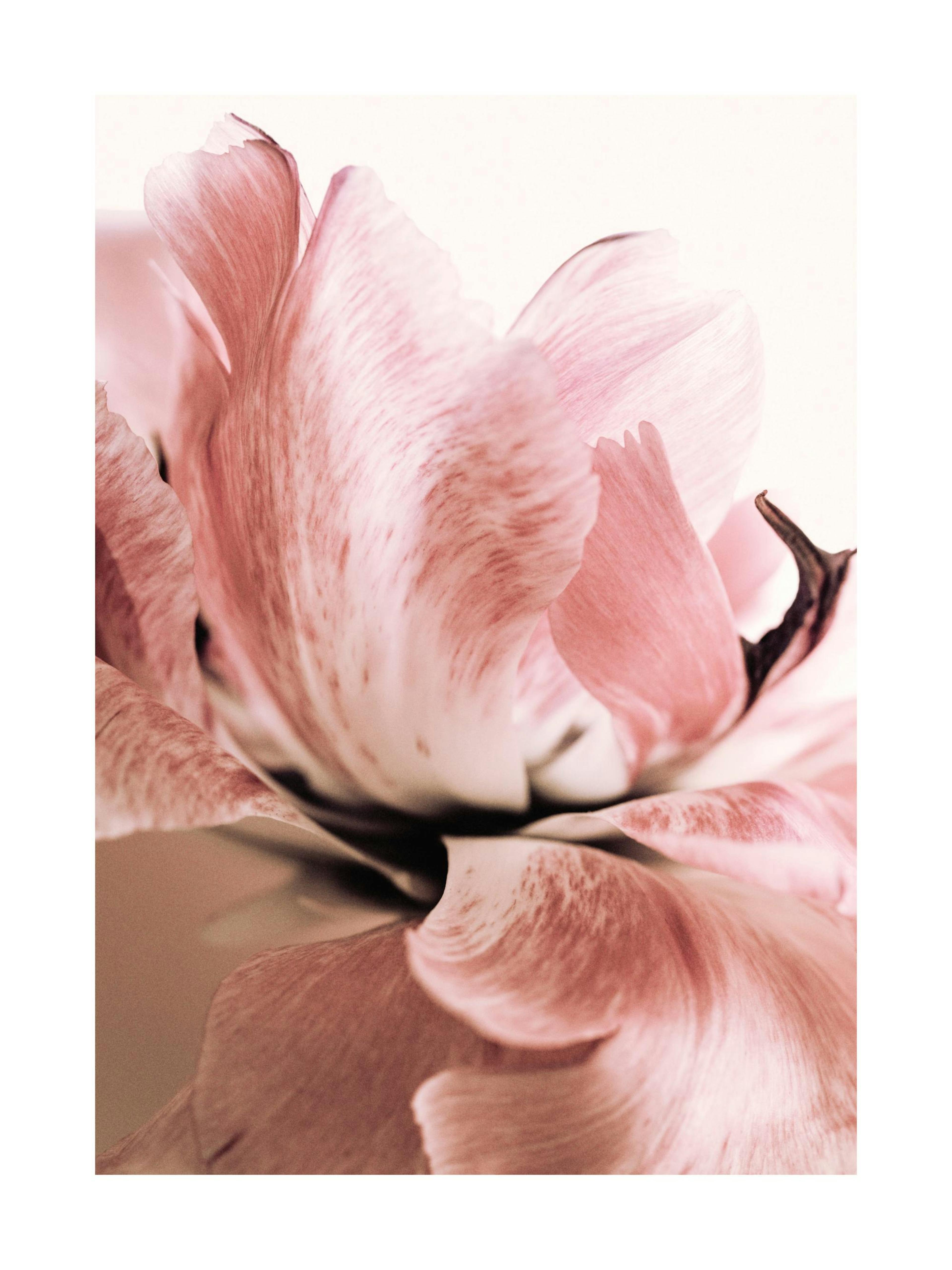Product image: 1