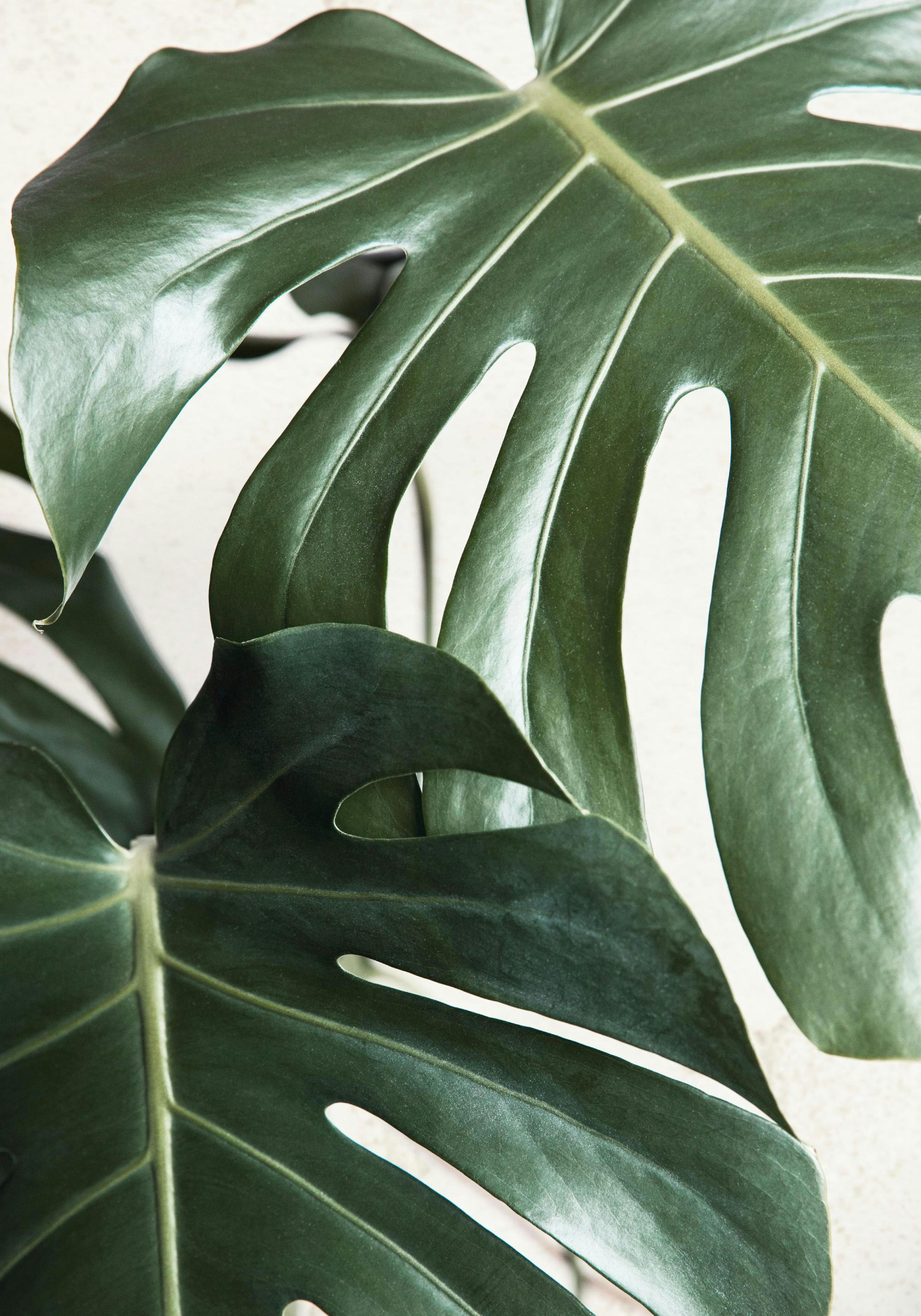 Product image: 1