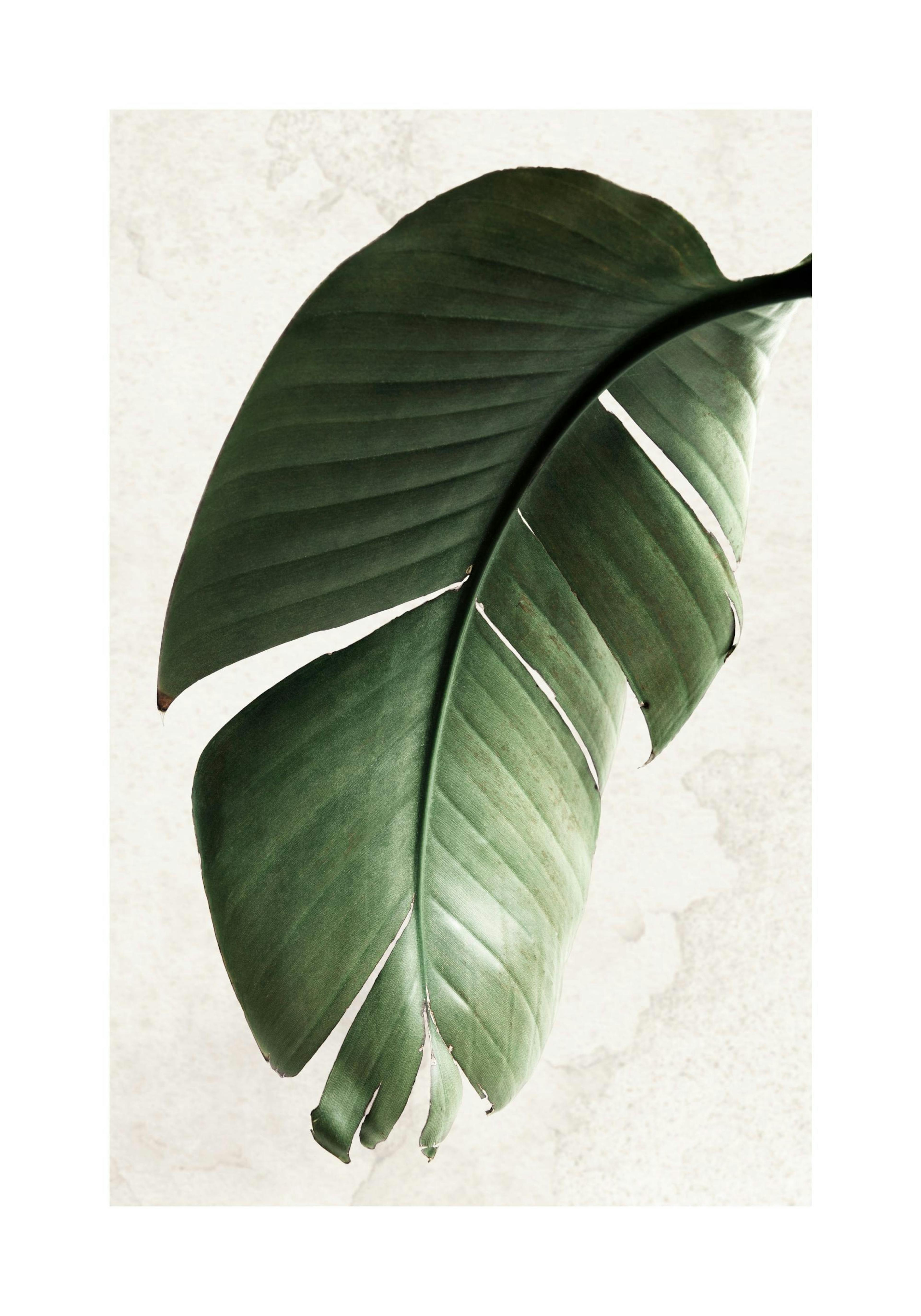 Product image: 1