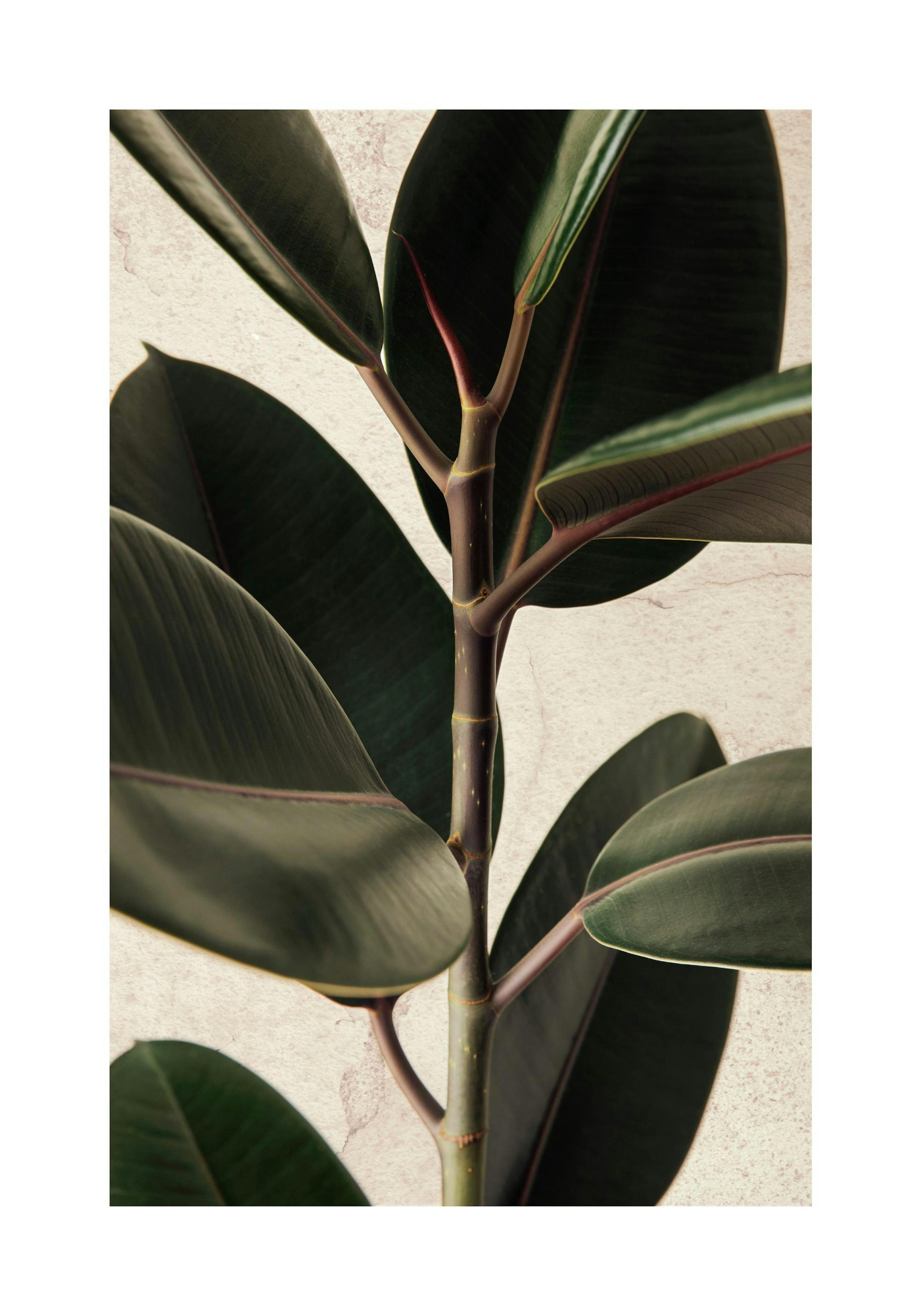 Product image: 1