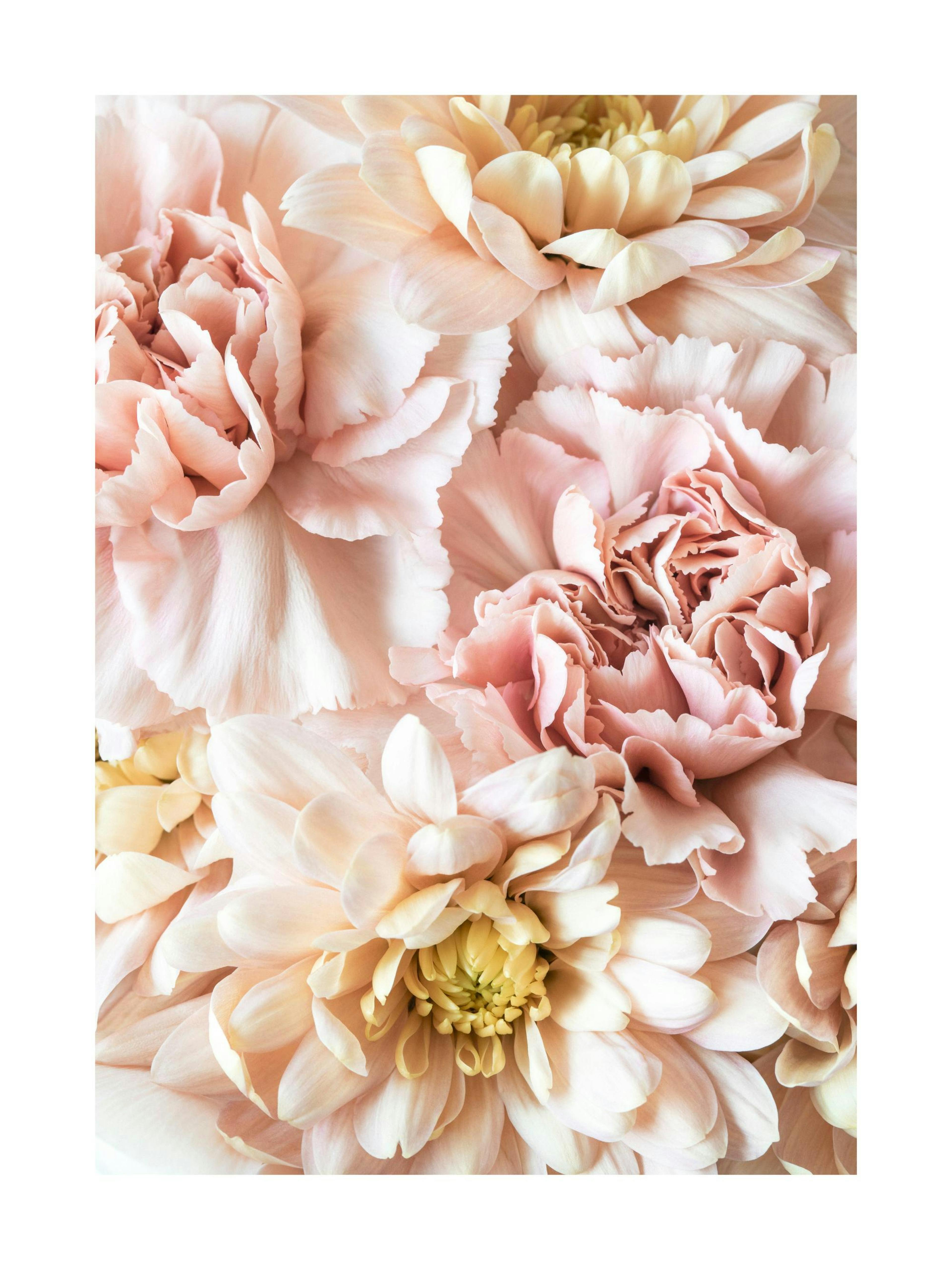 Product image: 1