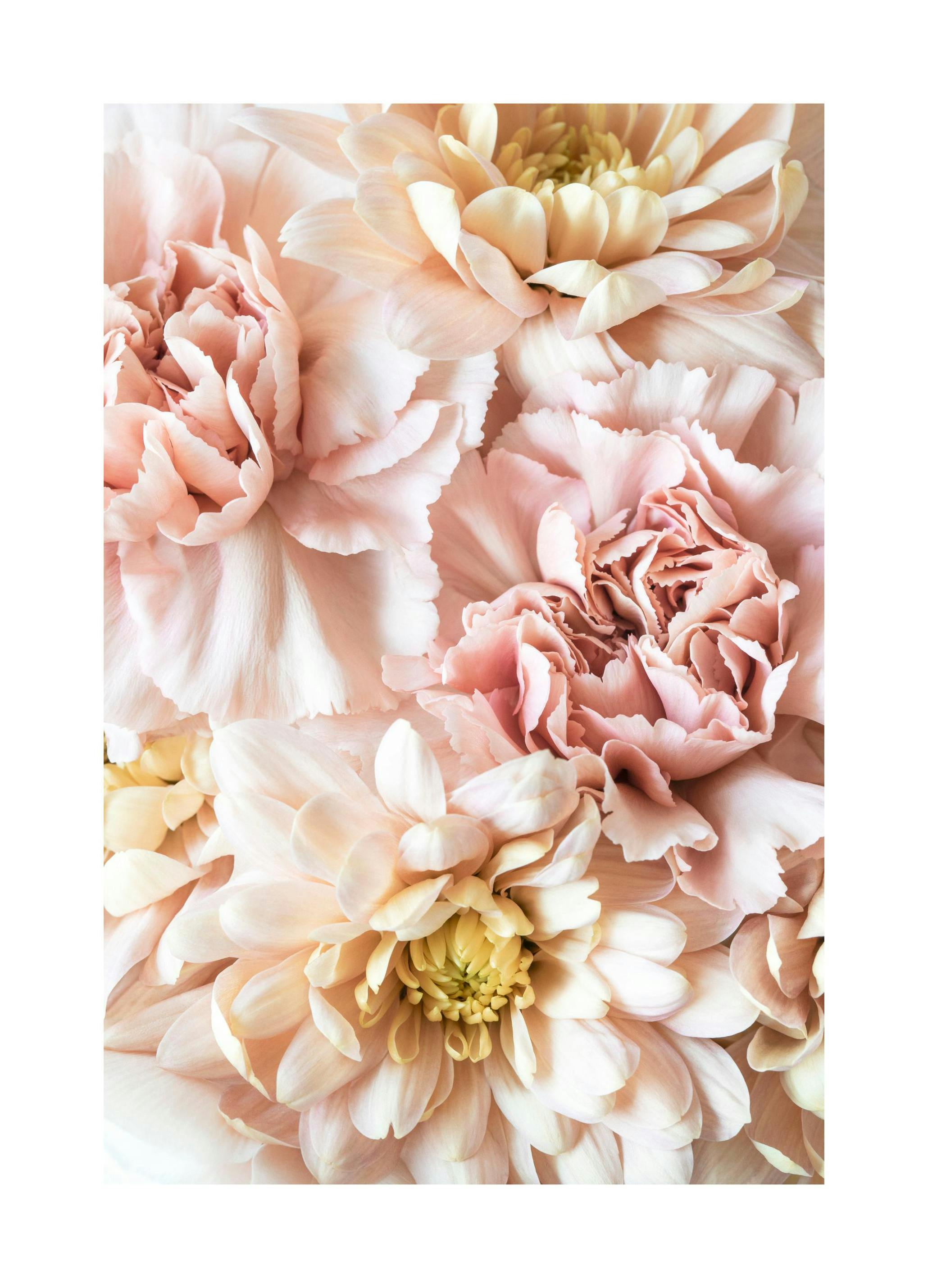 Plakat Pink Blossom (50x70 cm) - Poster Store