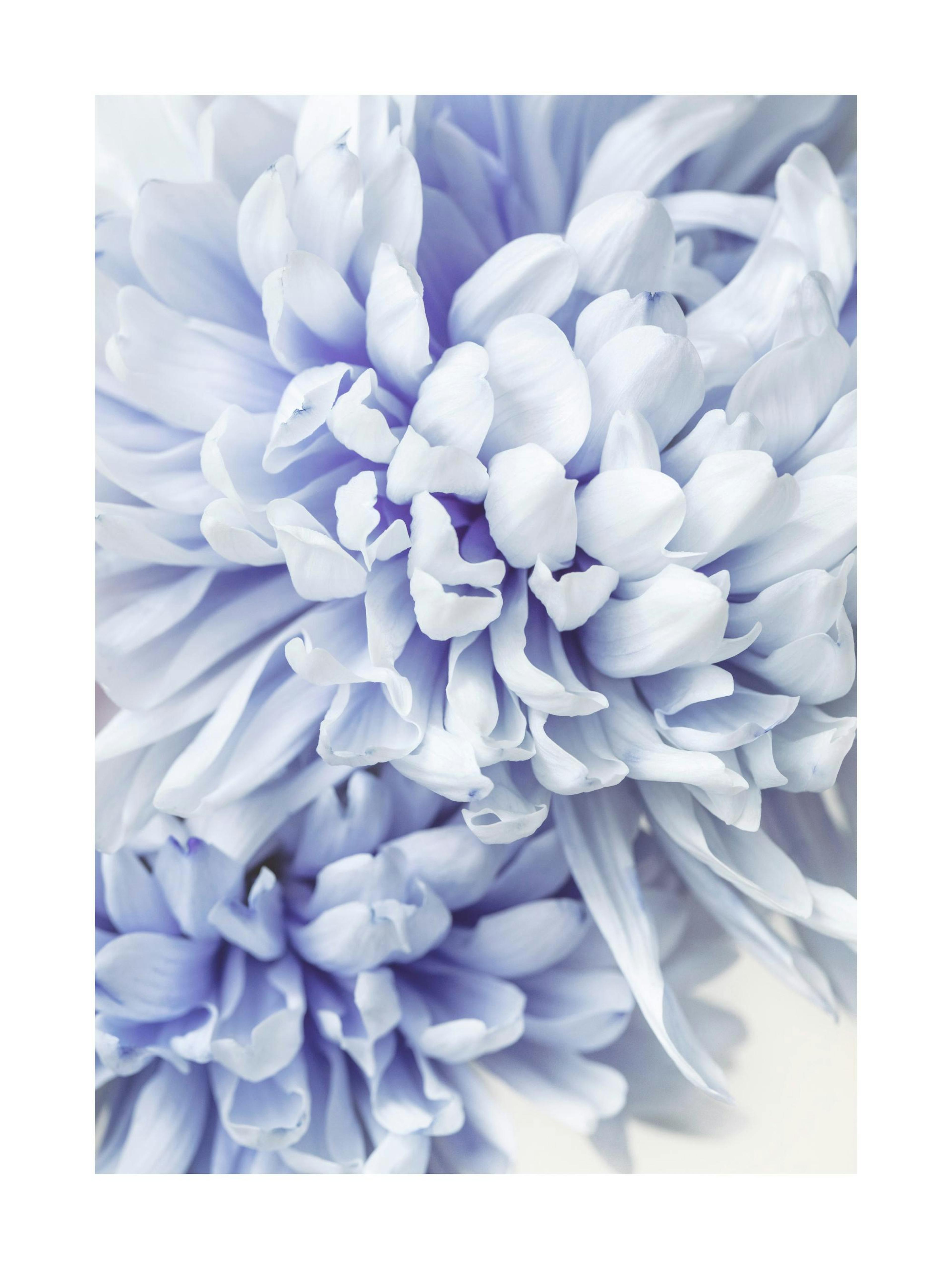 Product image: 1