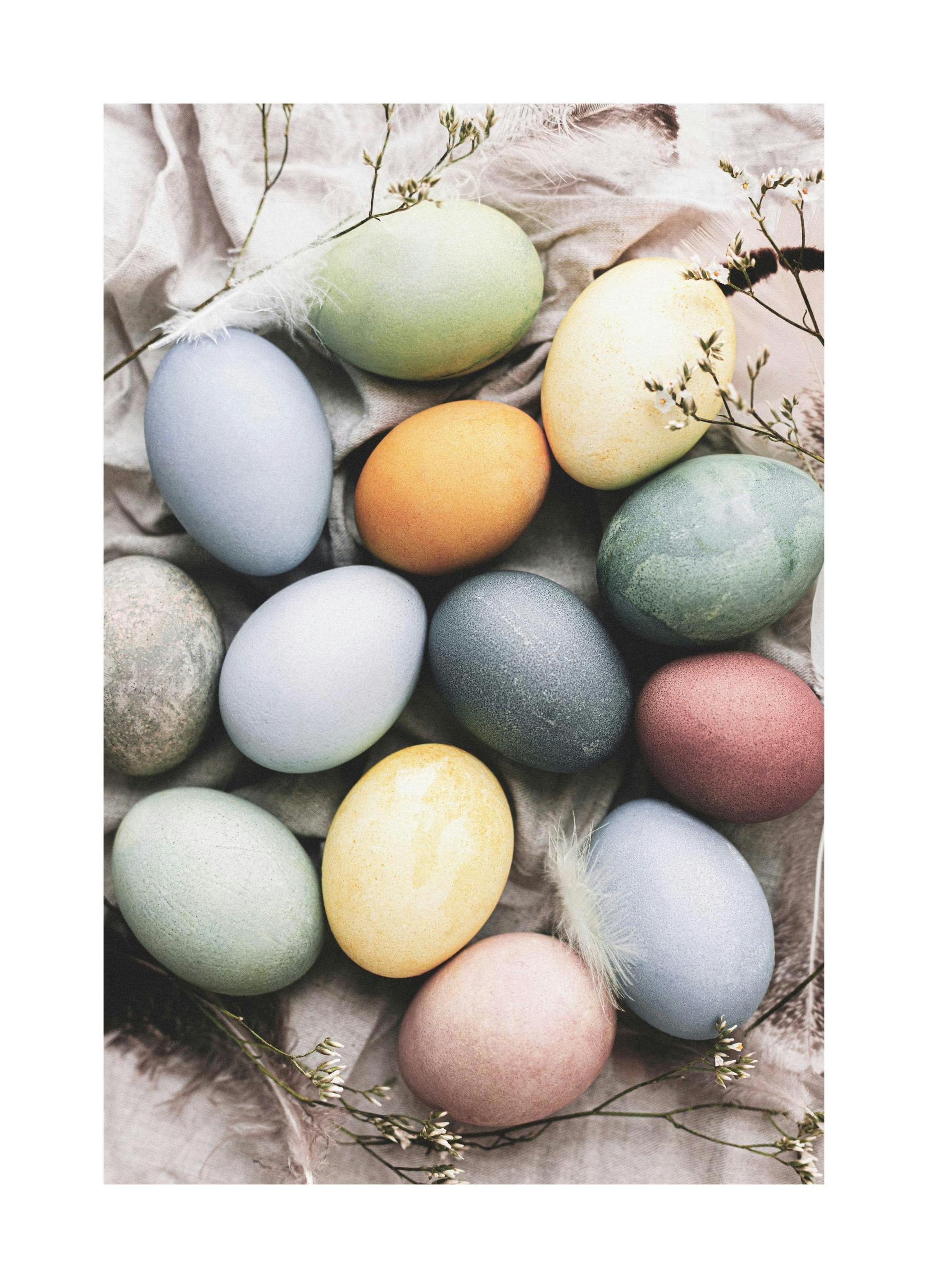 Plakat Pastel Colorful Eggs (30x40 cm) - Poster Store