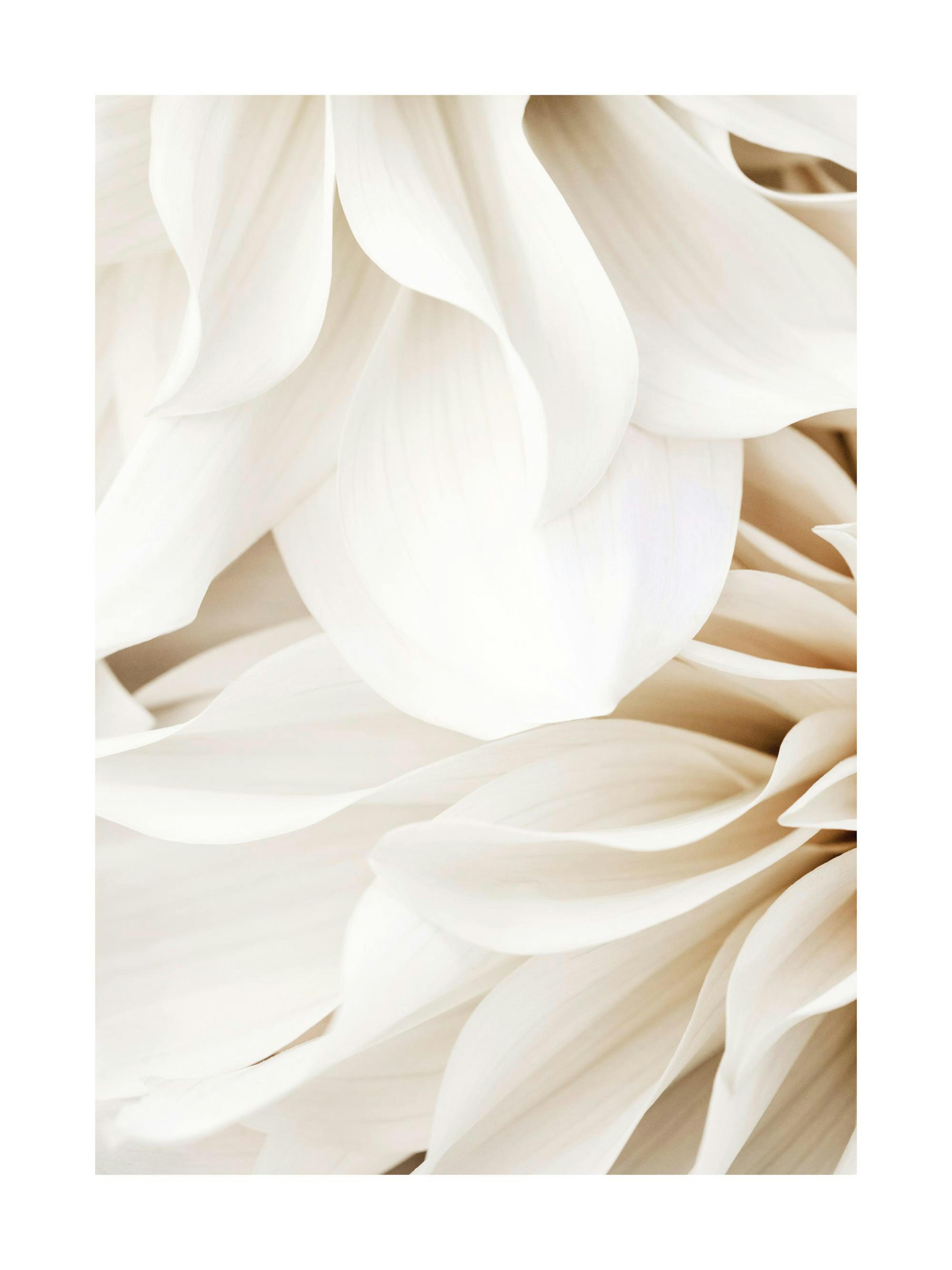 Product image: 1